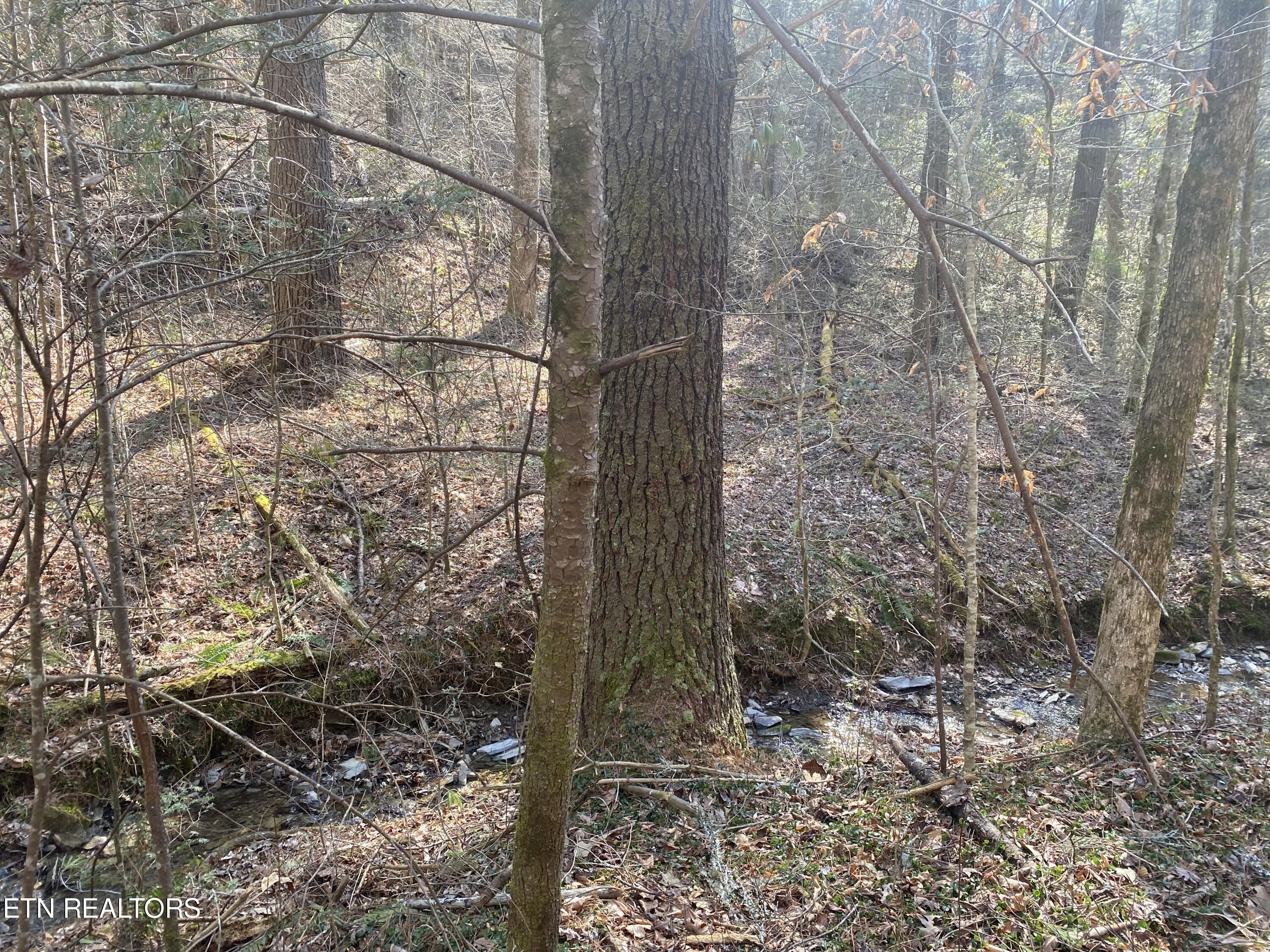 57.09 Acs Rafter Road Tellico Plains TN 37385