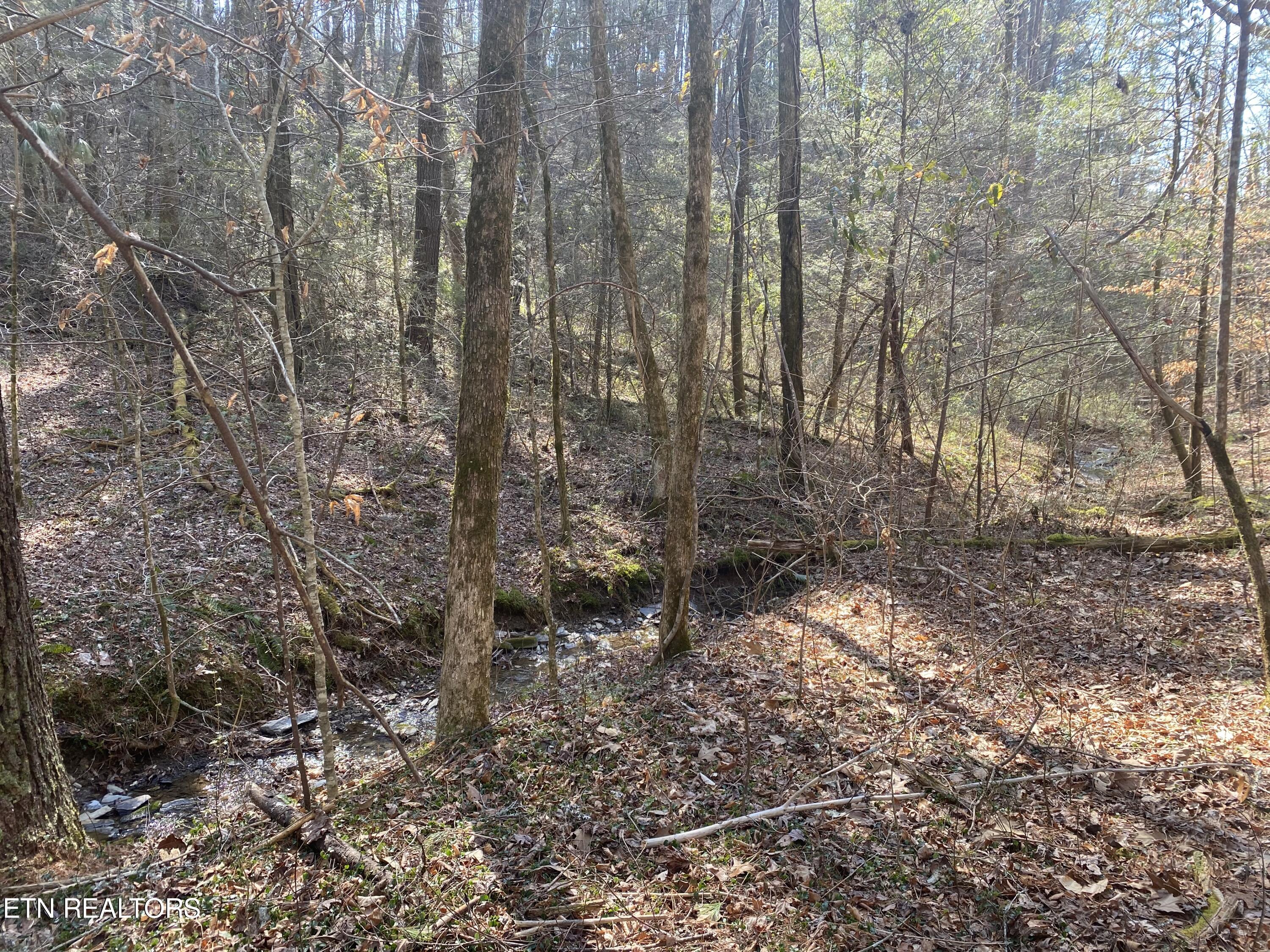 57.09 Acs Rafter Road Tellico Plains TN 37385