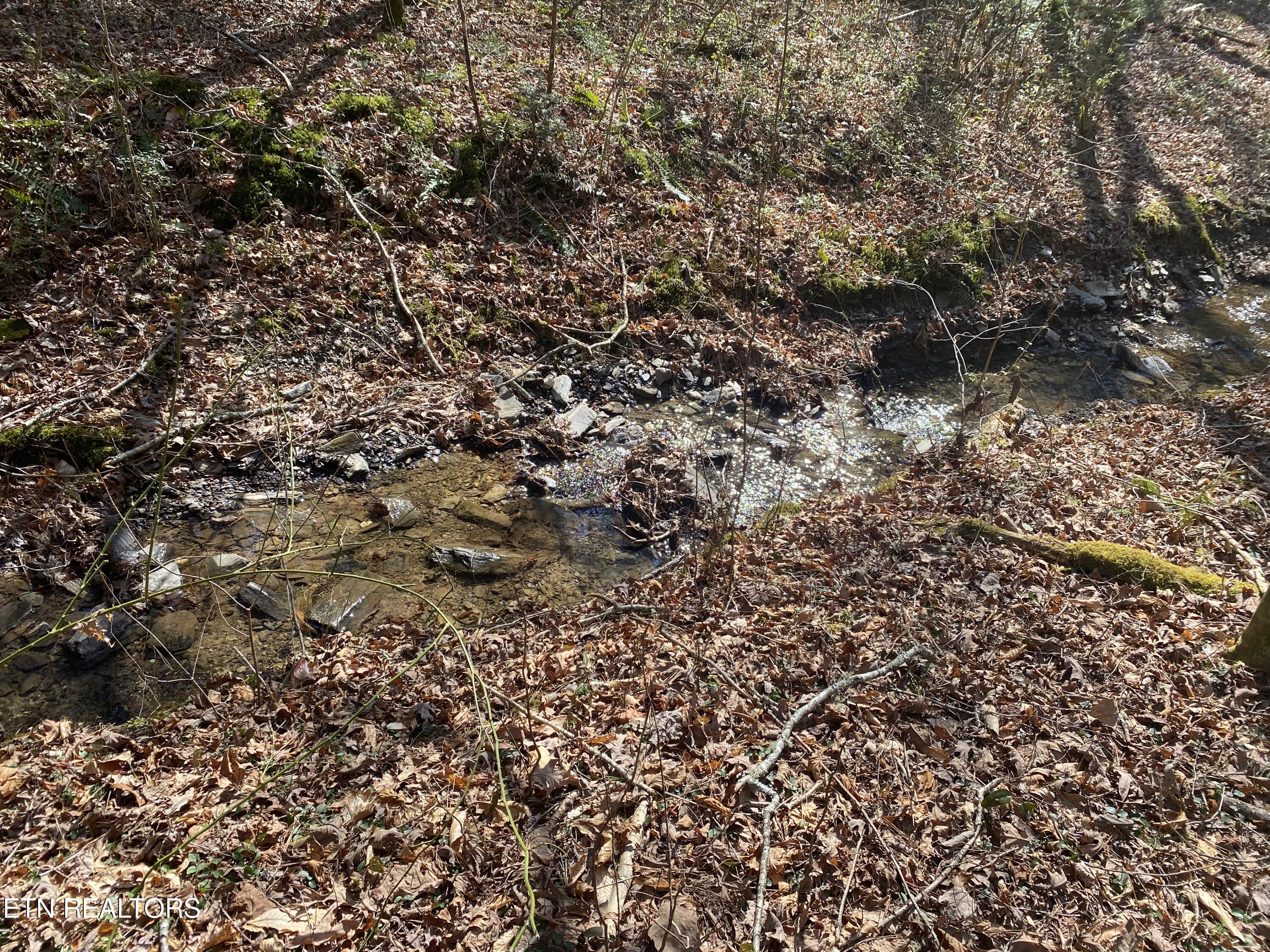 57.09 Acs Rafter Road Tellico Plains TN 37385