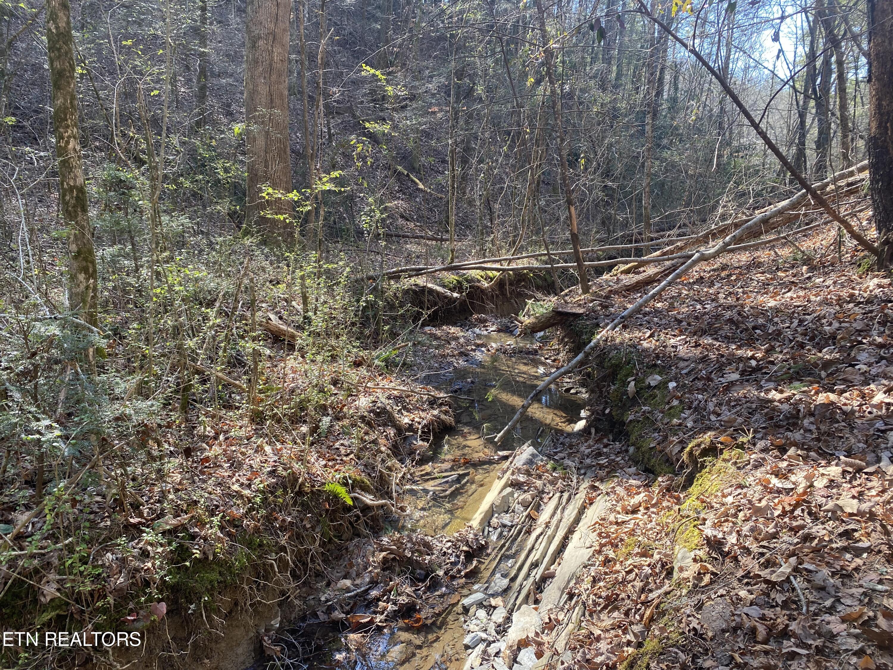 57.09 Acs Rafter Road Tellico Plains TN 37385