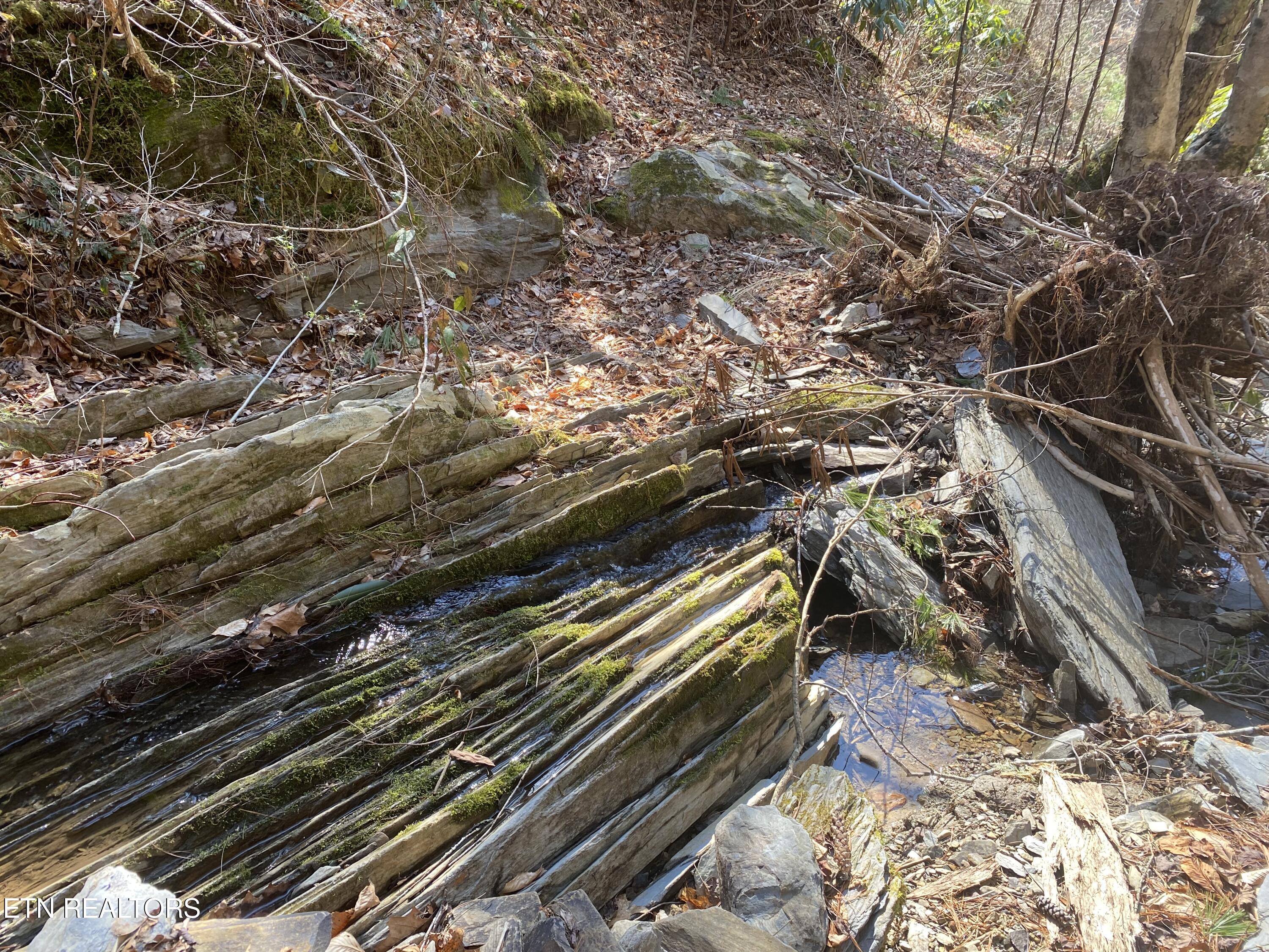 57.09 Acs Rafter Road Tellico Plains TN 37385