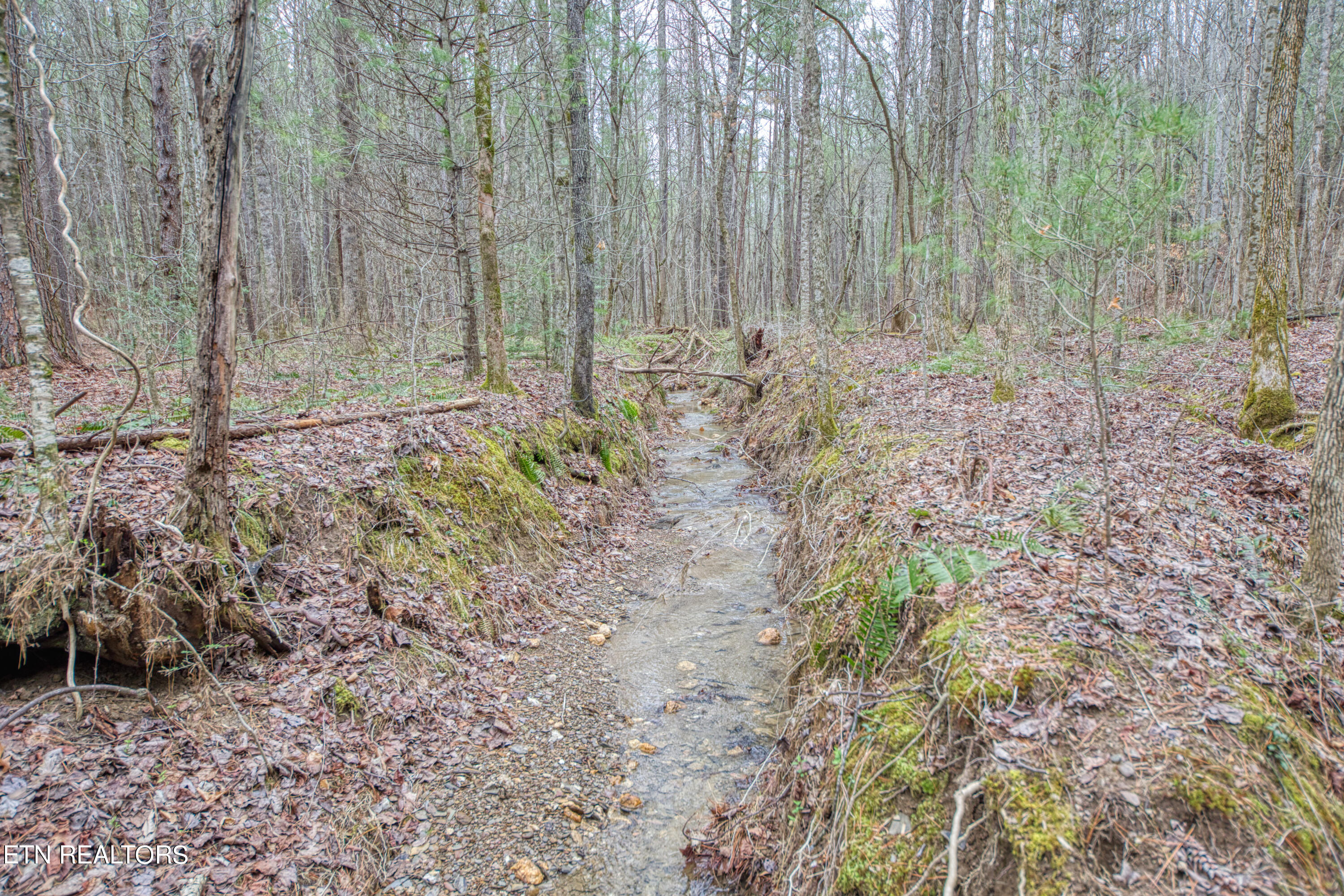57.09 Acs Rafter Road Tellico Plains TN 37385