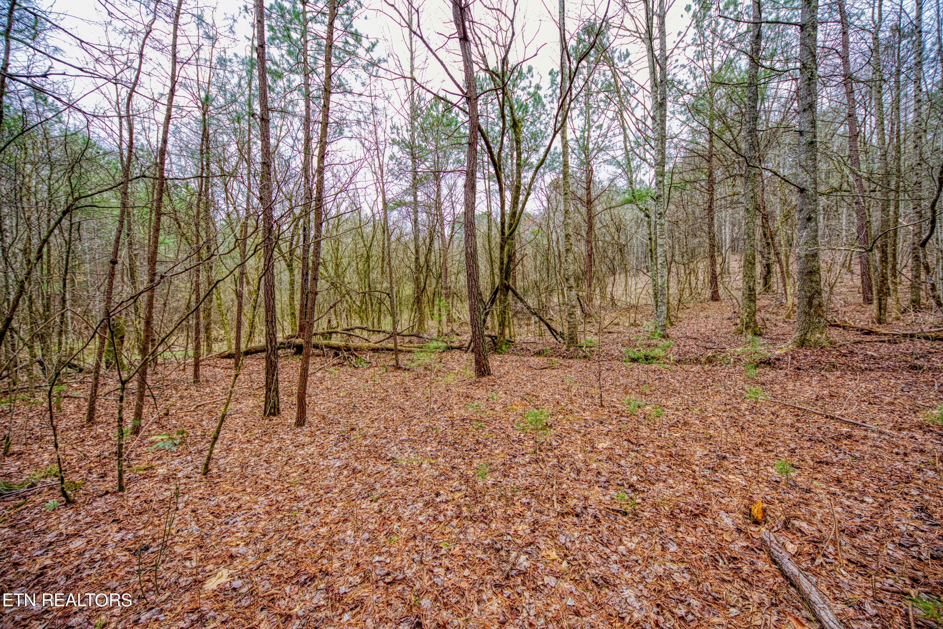 57.09 Acs Rafter Road Tellico Plains TN 37385