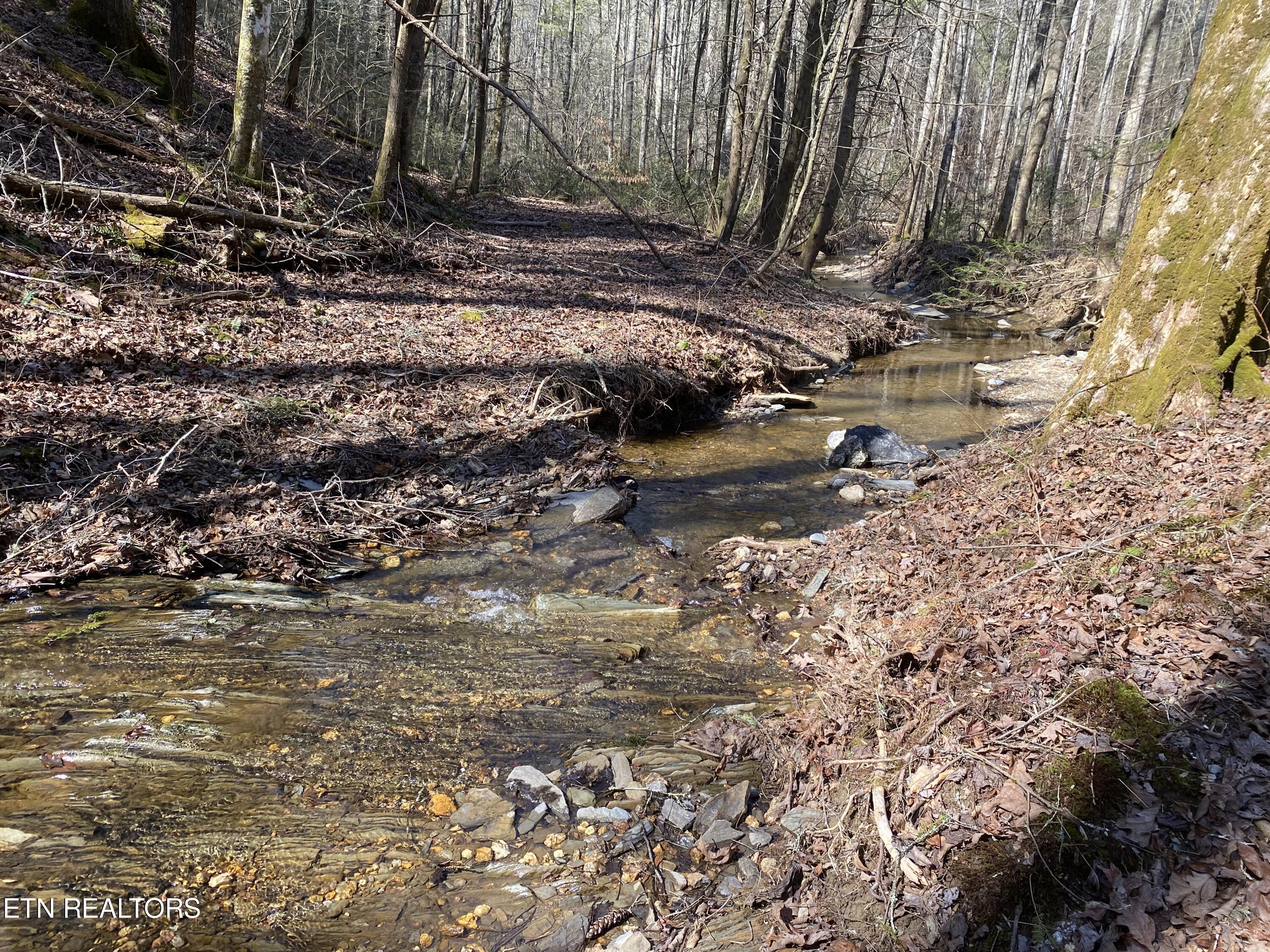 57.09 Acs Rafter Road Tellico Plains TN 37385