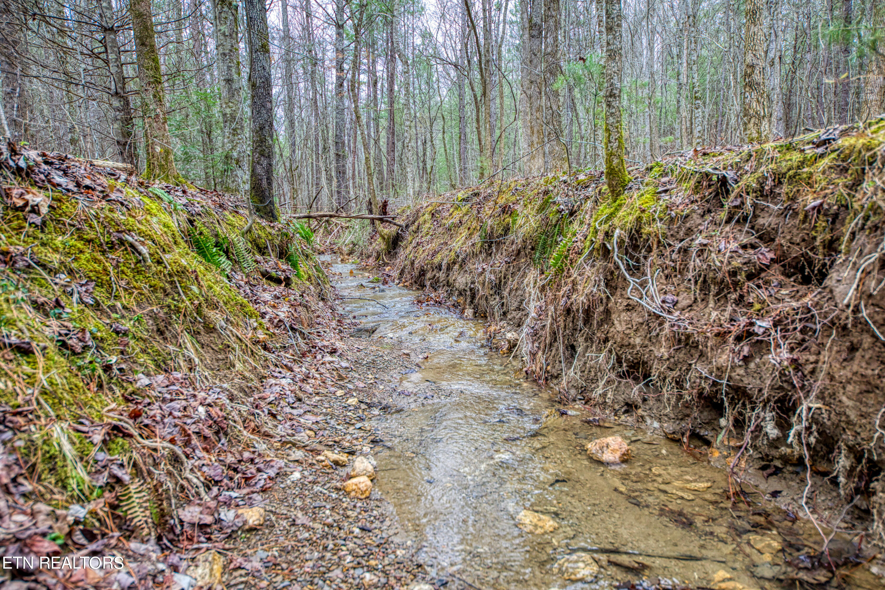 57.09 Acs Rafter Road Tellico Plains TN 37385