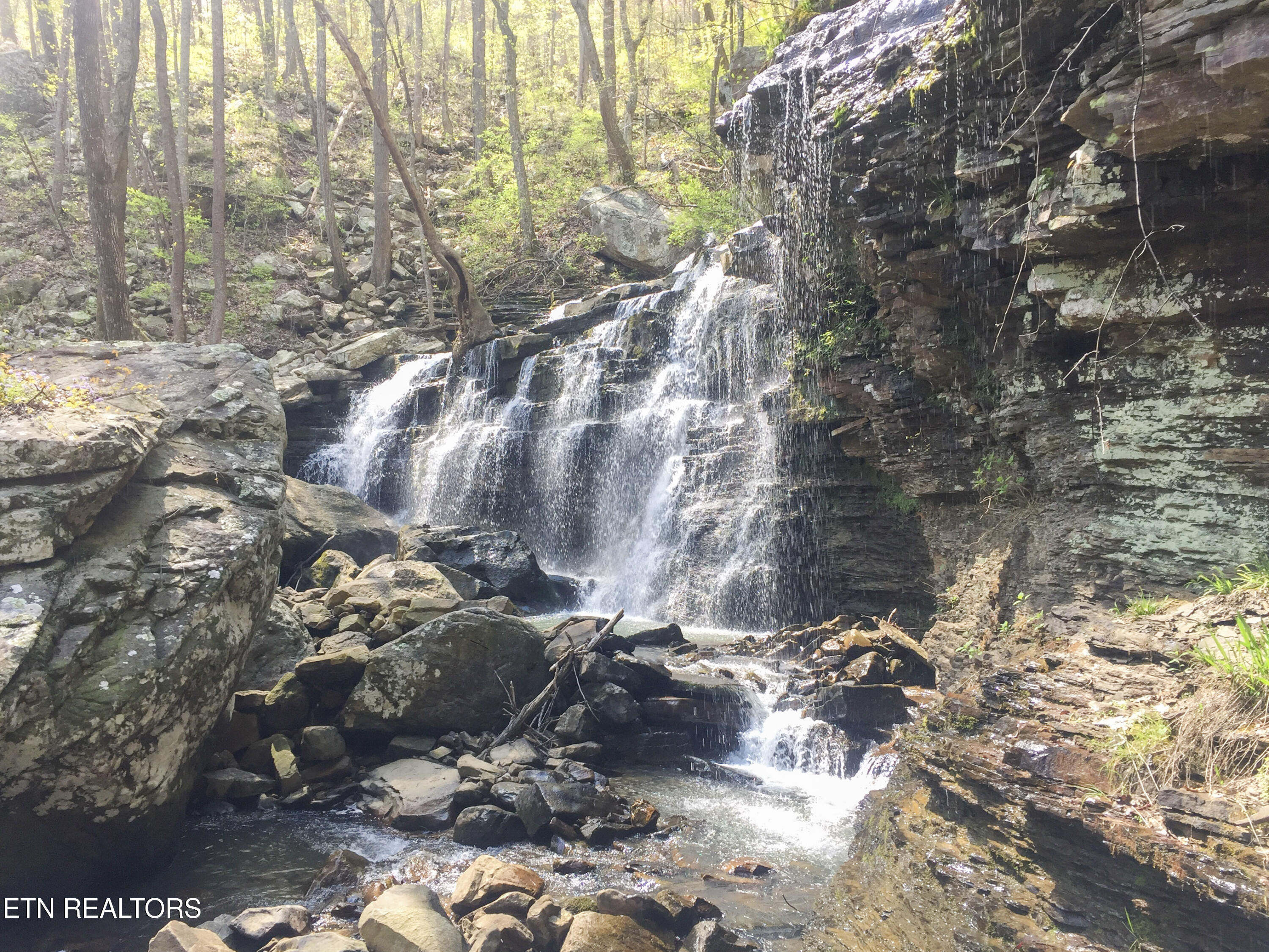 Rockfort Road - 100 Acres Pikeville TN 37367