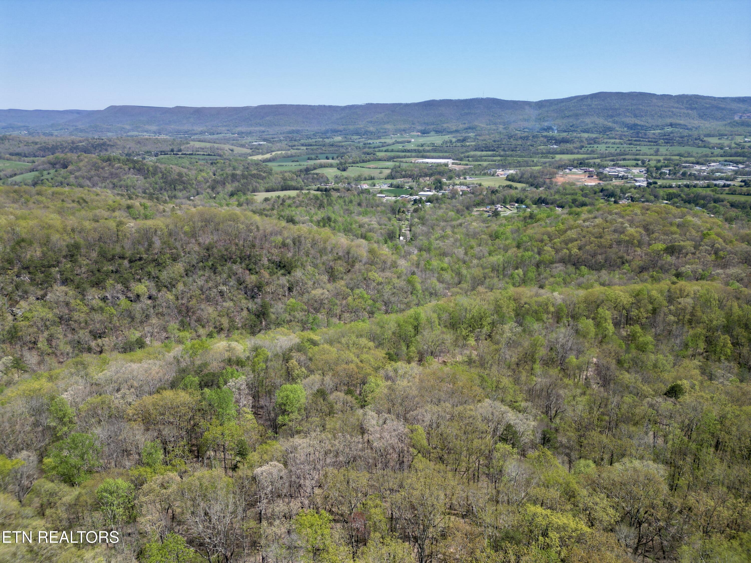 Rockfort Road - 100 Acres Pikeville TN 37367