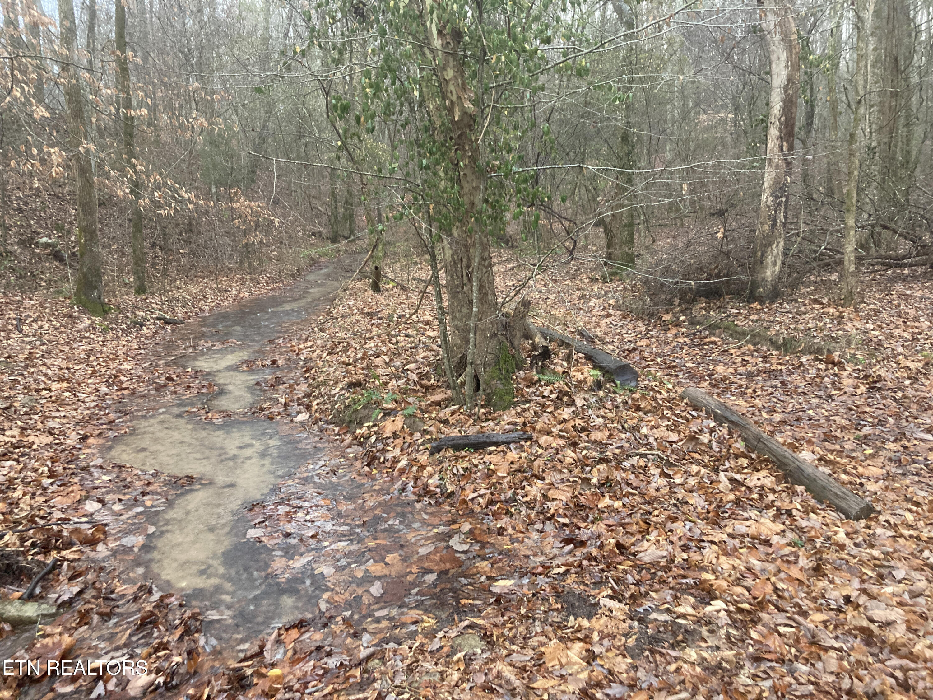 Rockfort Road - 100 Acres Pikeville TN 37367