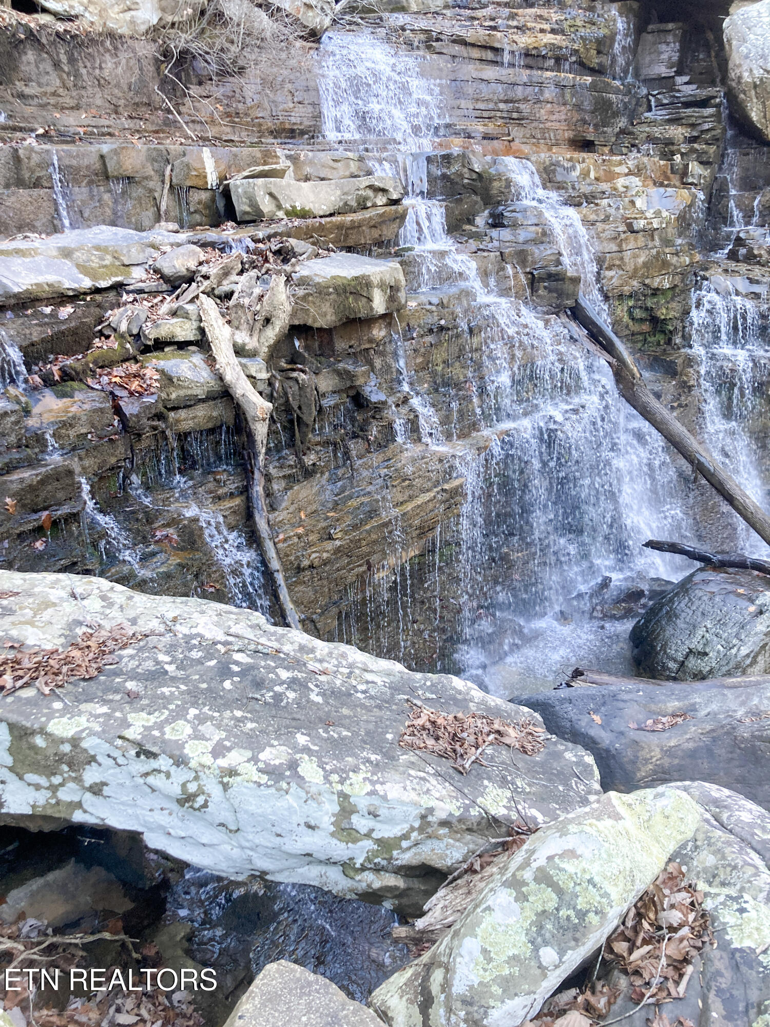 Rockfort Road - 100 Acres Pikeville TN 37367