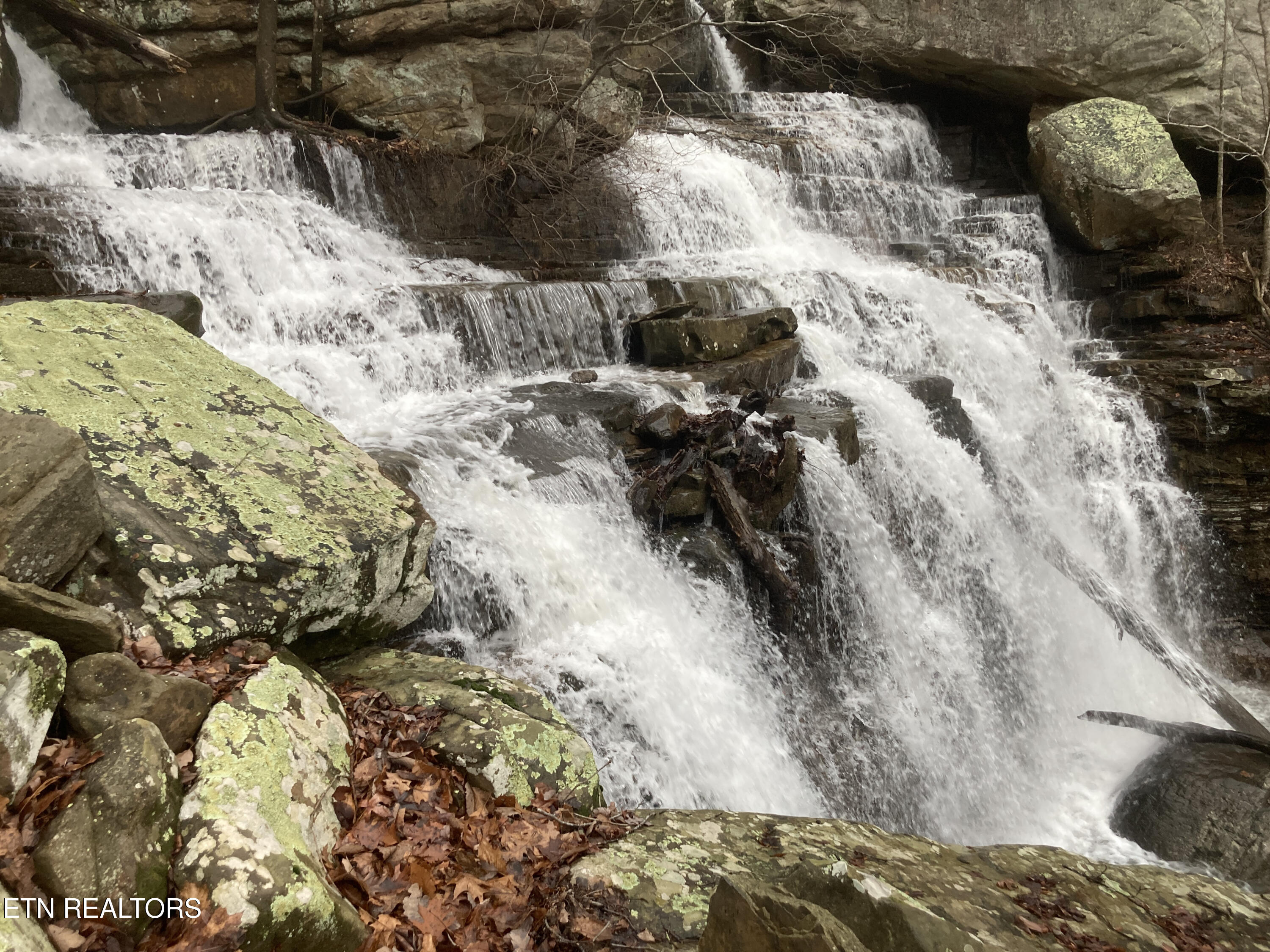 Rockfort Road - 100 Acres Pikeville TN 37367
