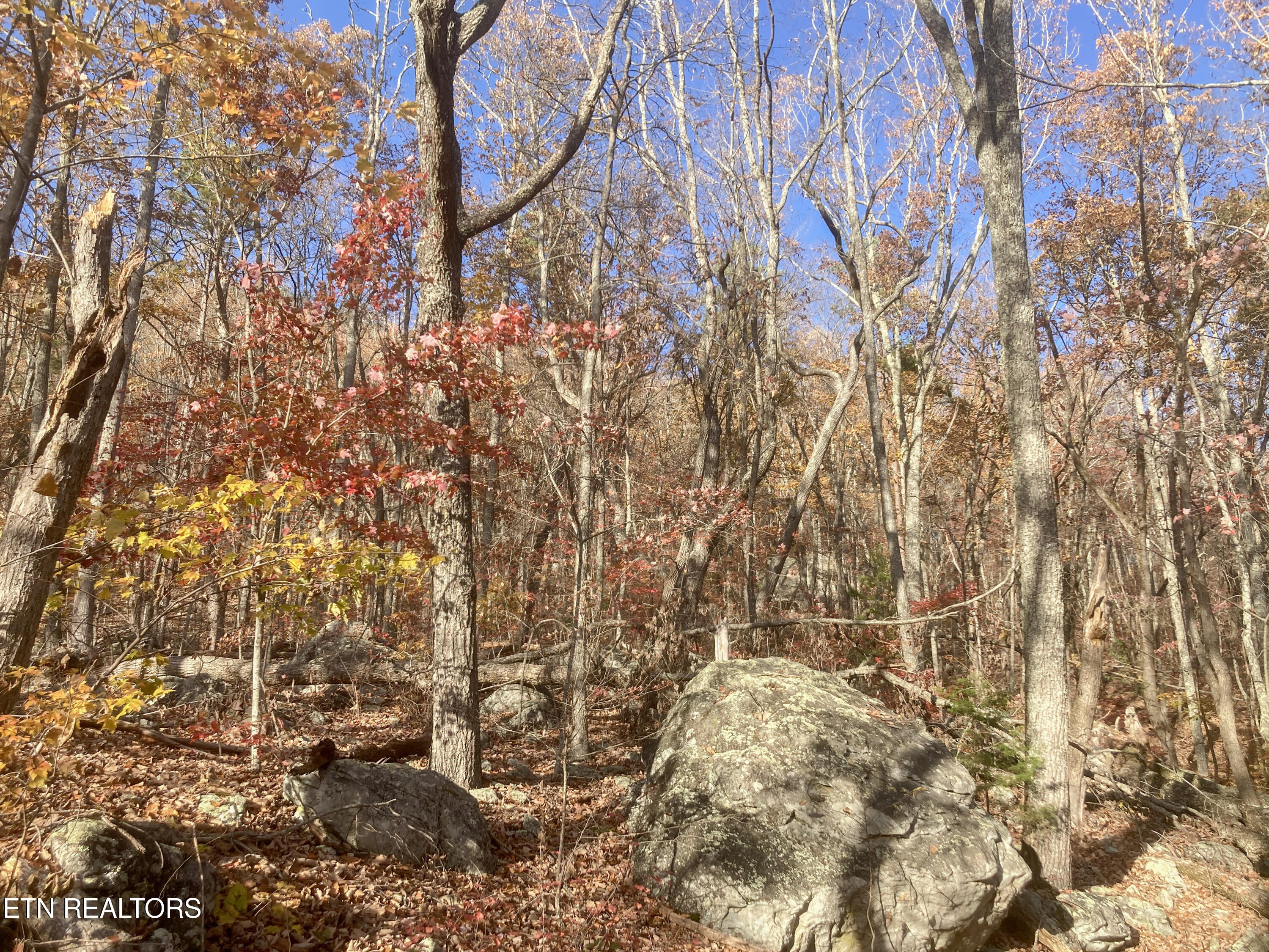 Rockfort Road - 100 Acres Pikeville TN 37367