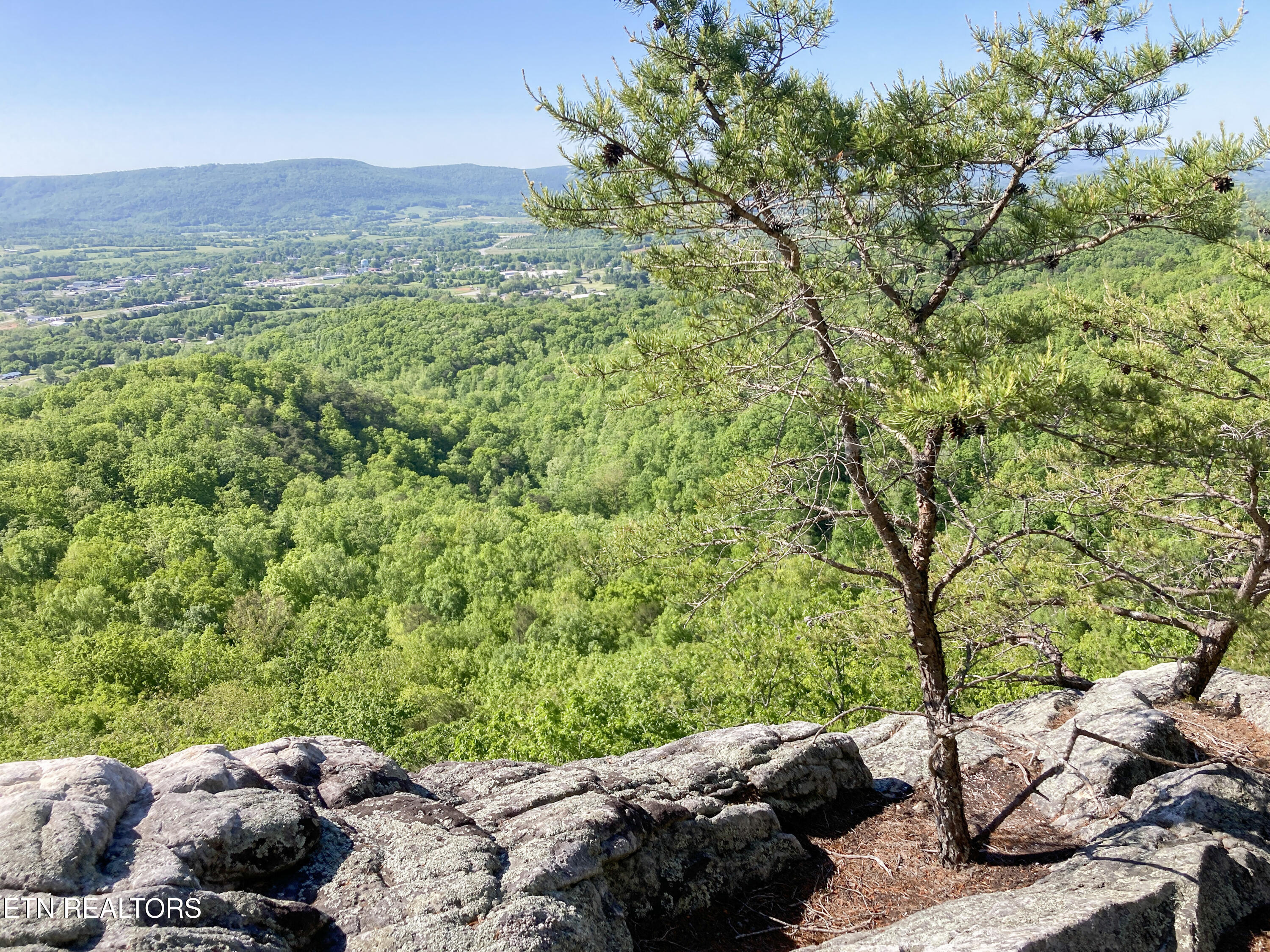 Rockfort Road - 100 Acres Pikeville TN 37367