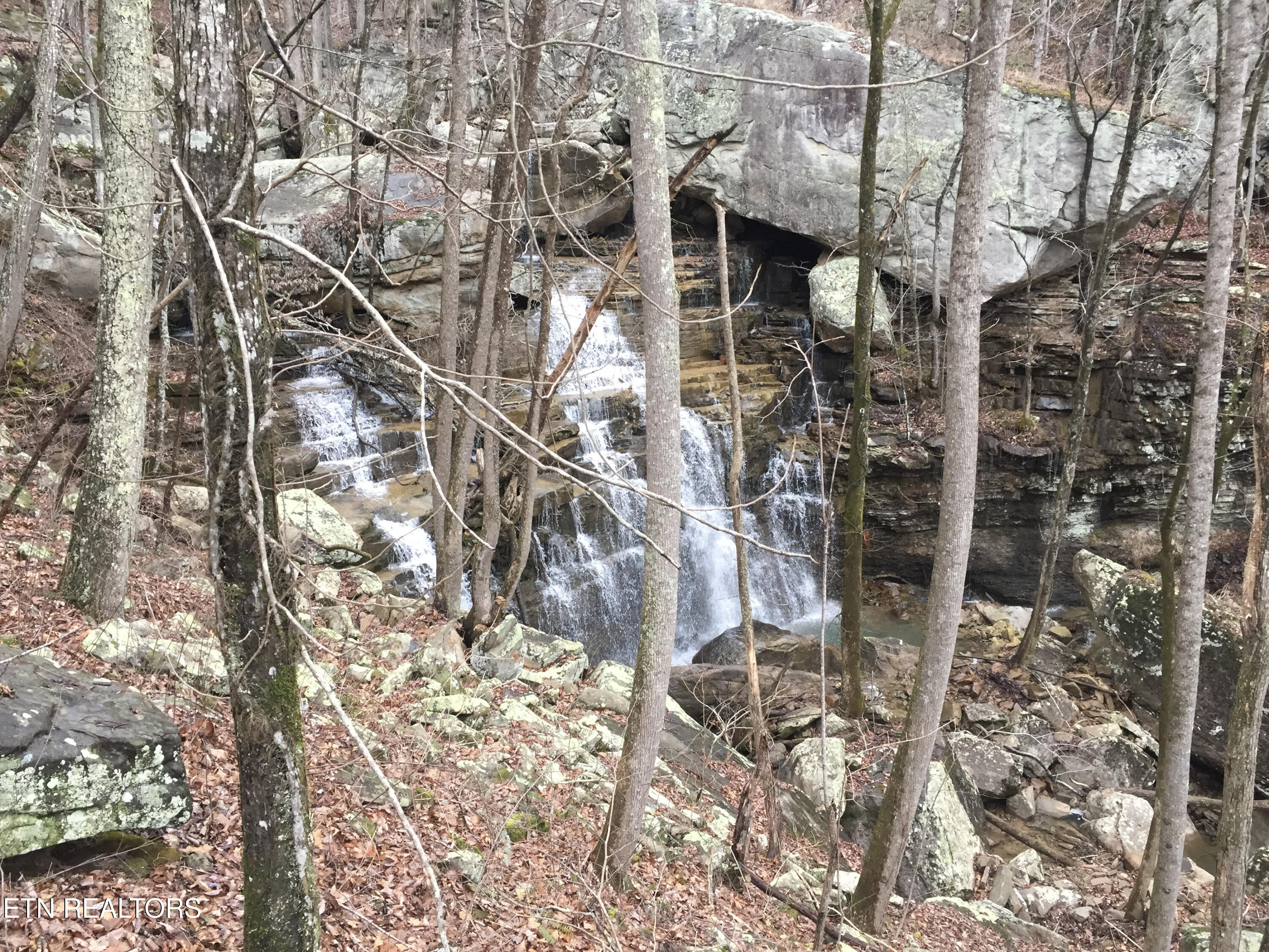 Rockfort Road - 100 Acres Pikeville TN 37367