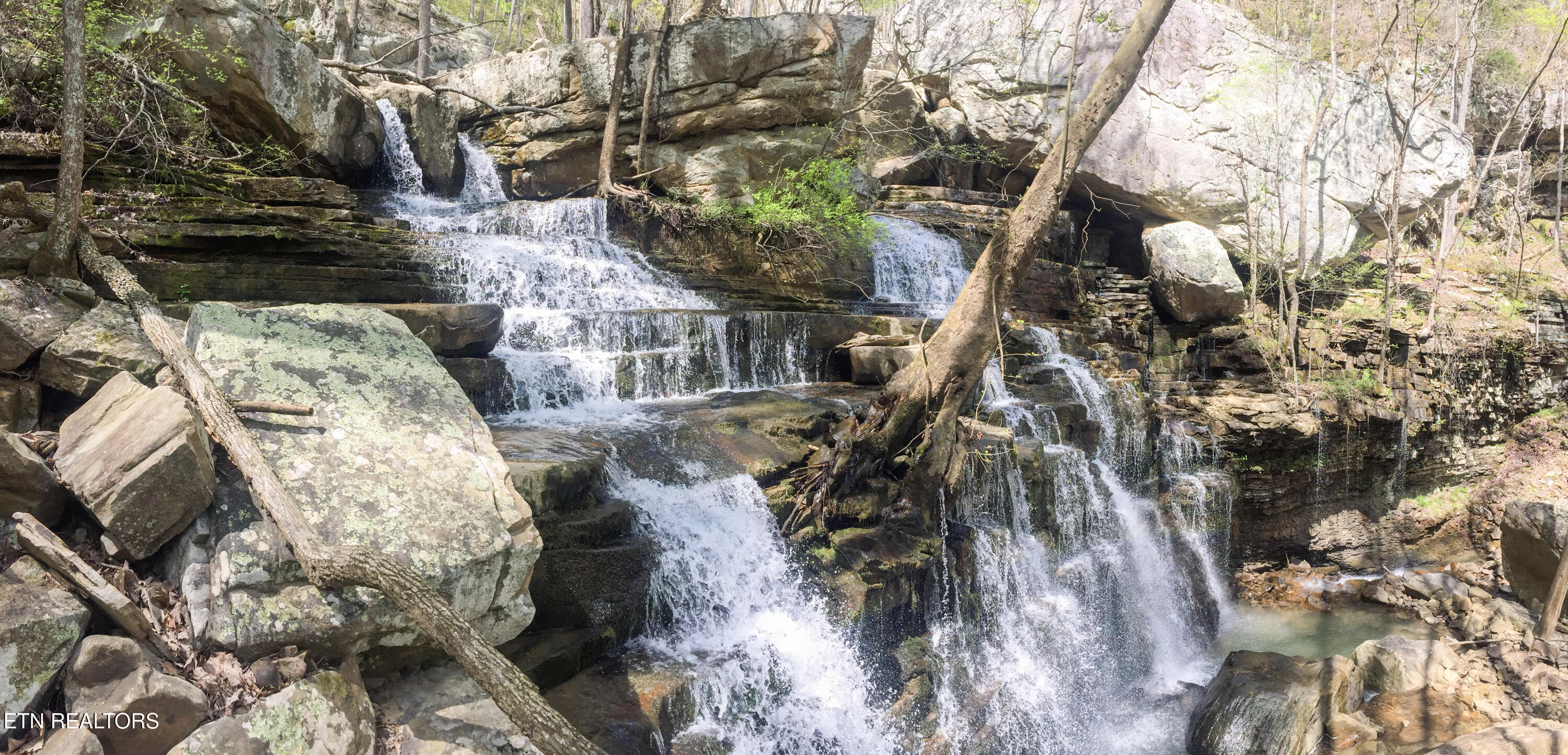Rockfort Road - 100 Acres Pikeville TN 37367