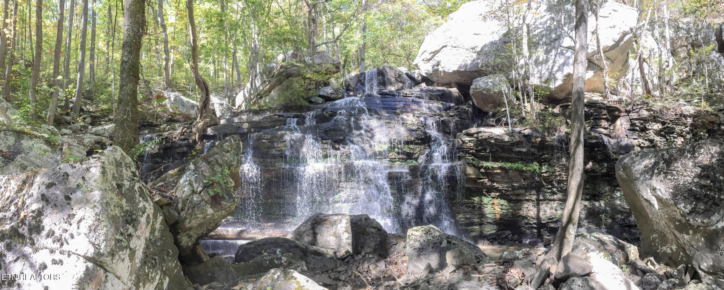 Rockfort Road - 100 Acres Pikeville TN 37367