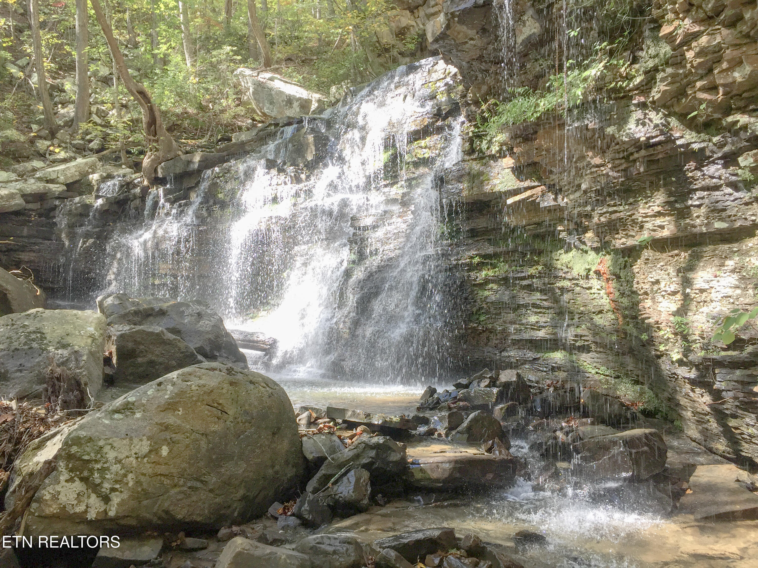 Rockfort Road - 100 Acres Pikeville TN 37367