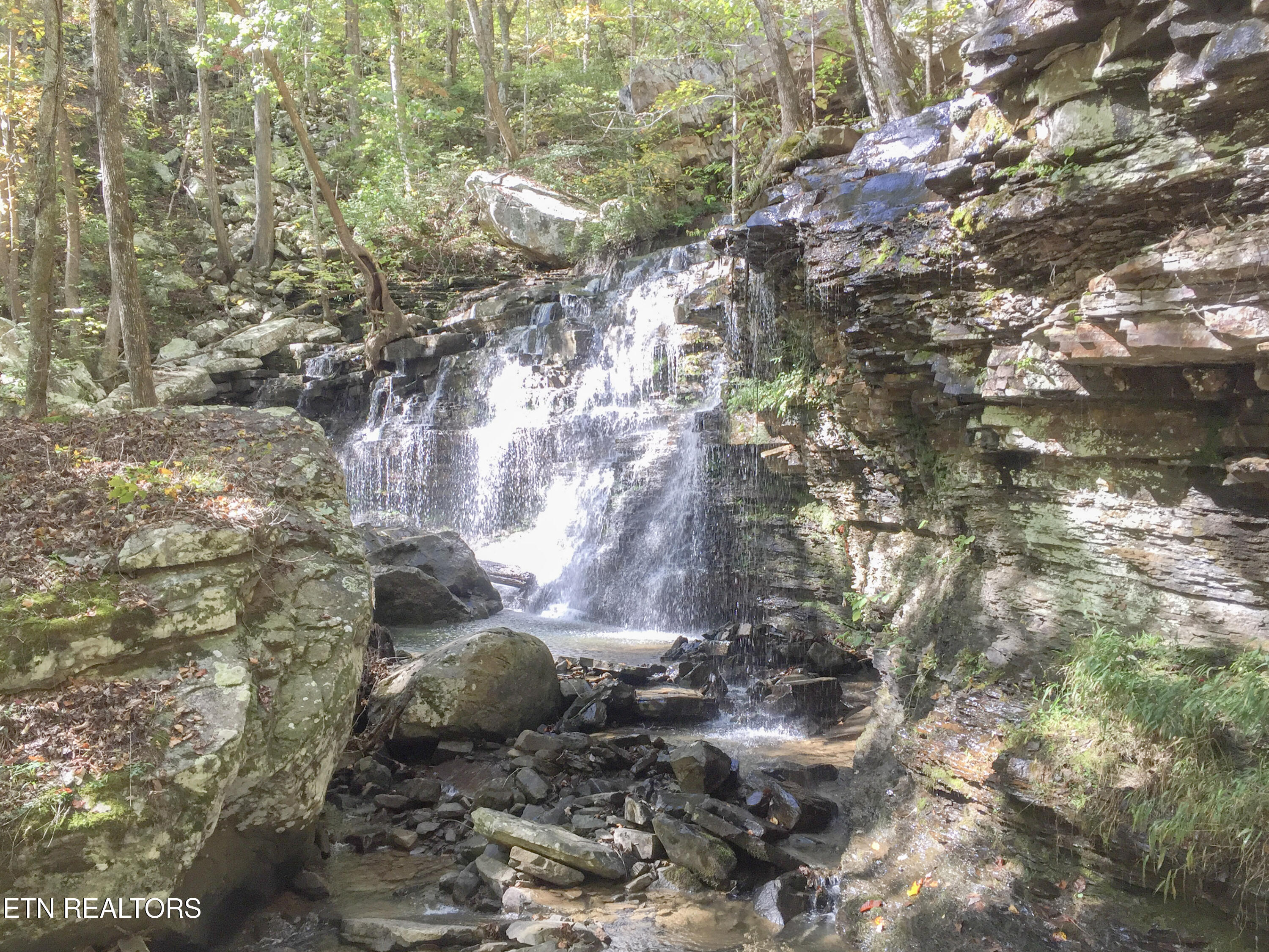 Rockfort Road - 100 Acres Pikeville TN 37367