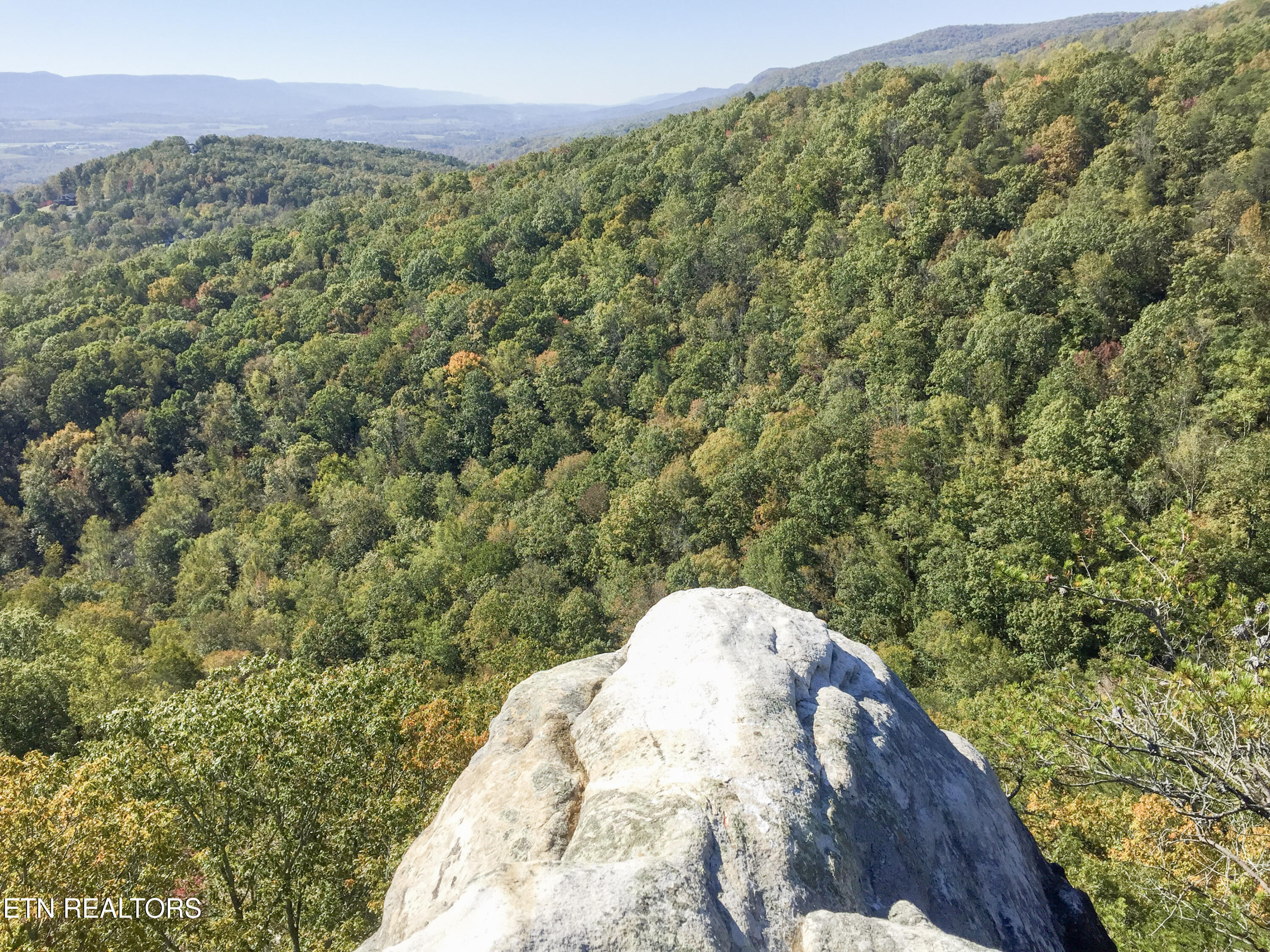 Rockfort Road - 100 Acres Pikeville TN 37367
