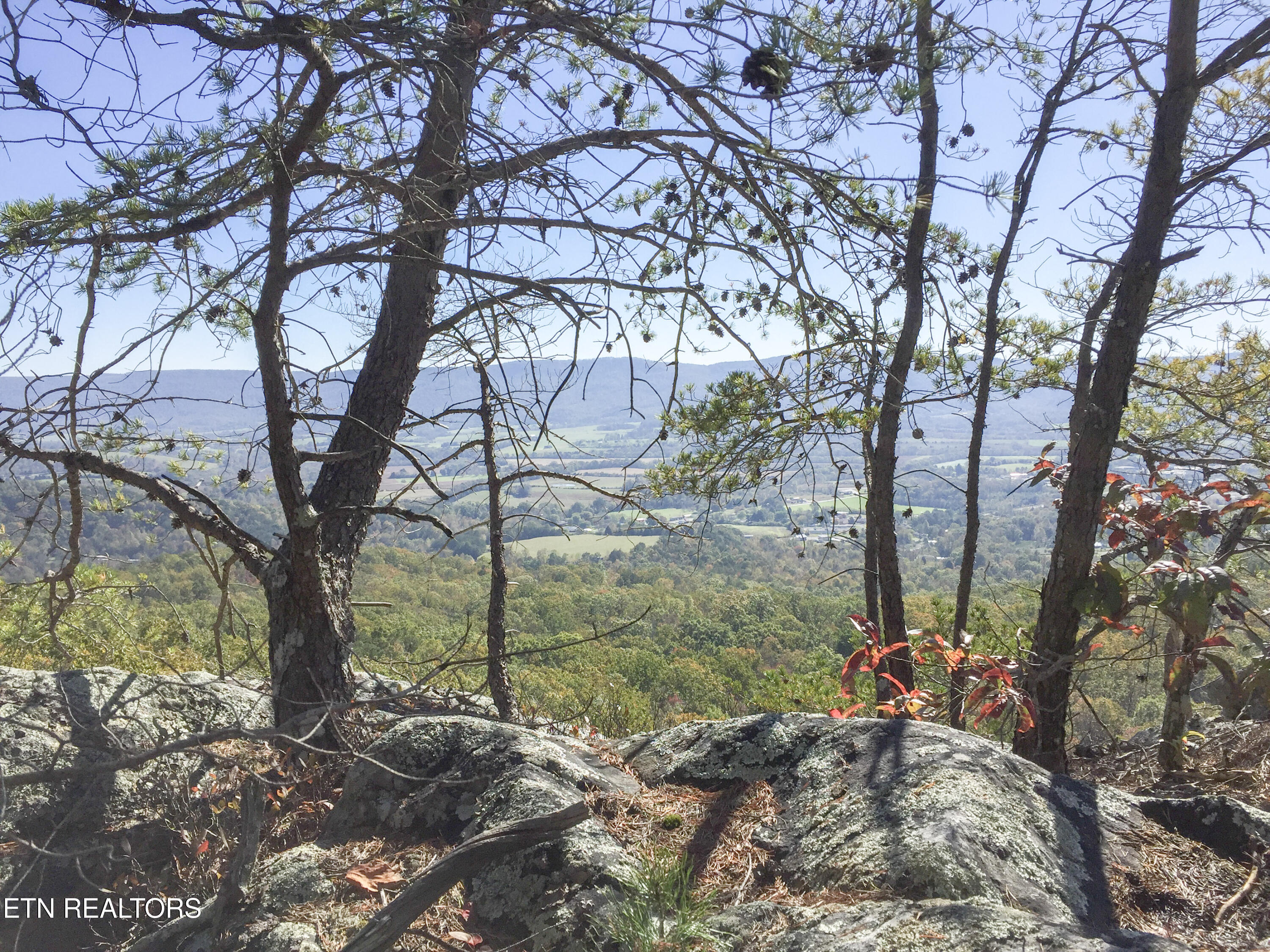 Rockfort Road - 100 Acres Pikeville TN 37367