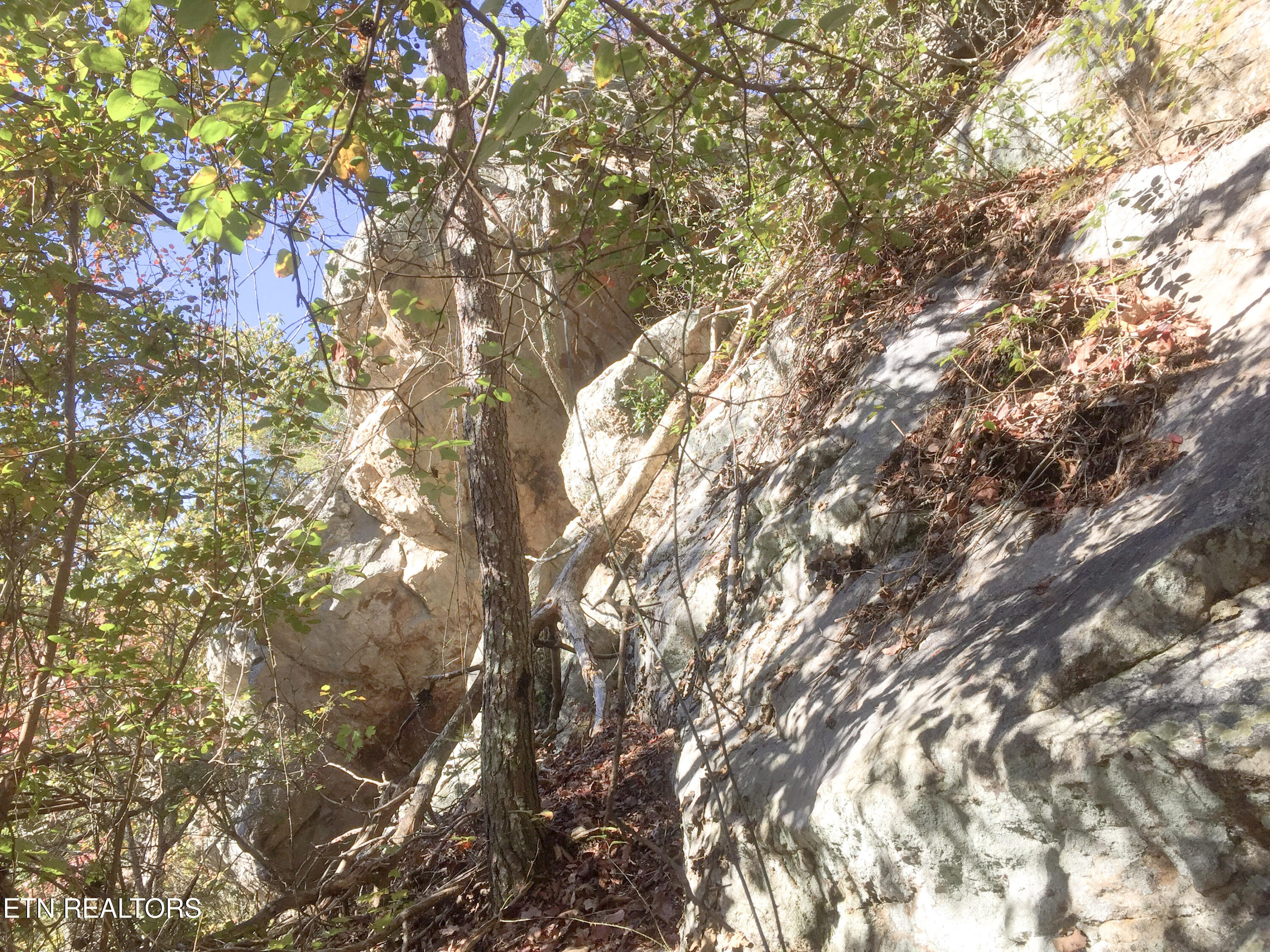 Rockfort Road - 100 Acres Pikeville TN 37367