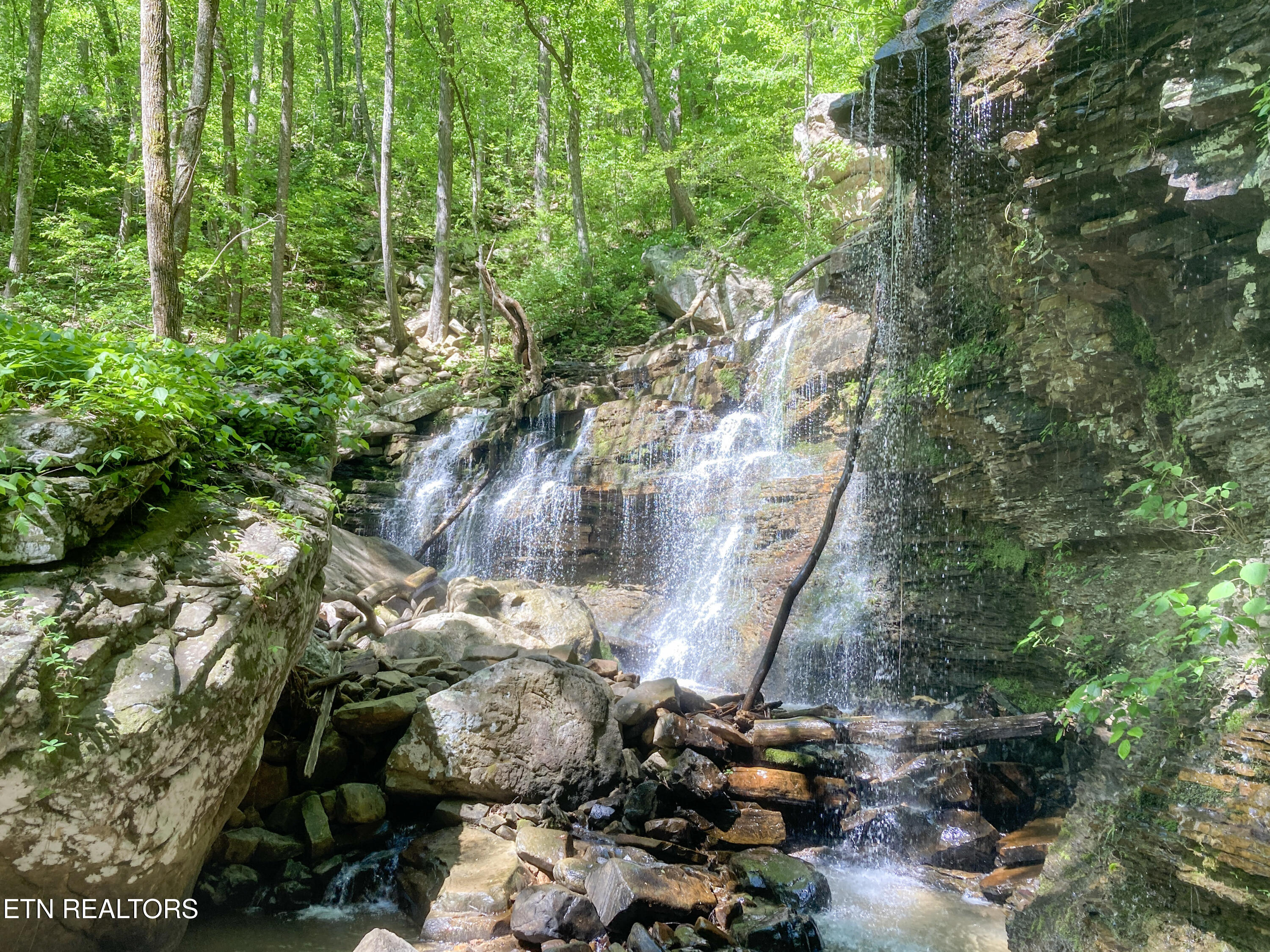 Rockfort Road - 100 Acres Pikeville TN 37367