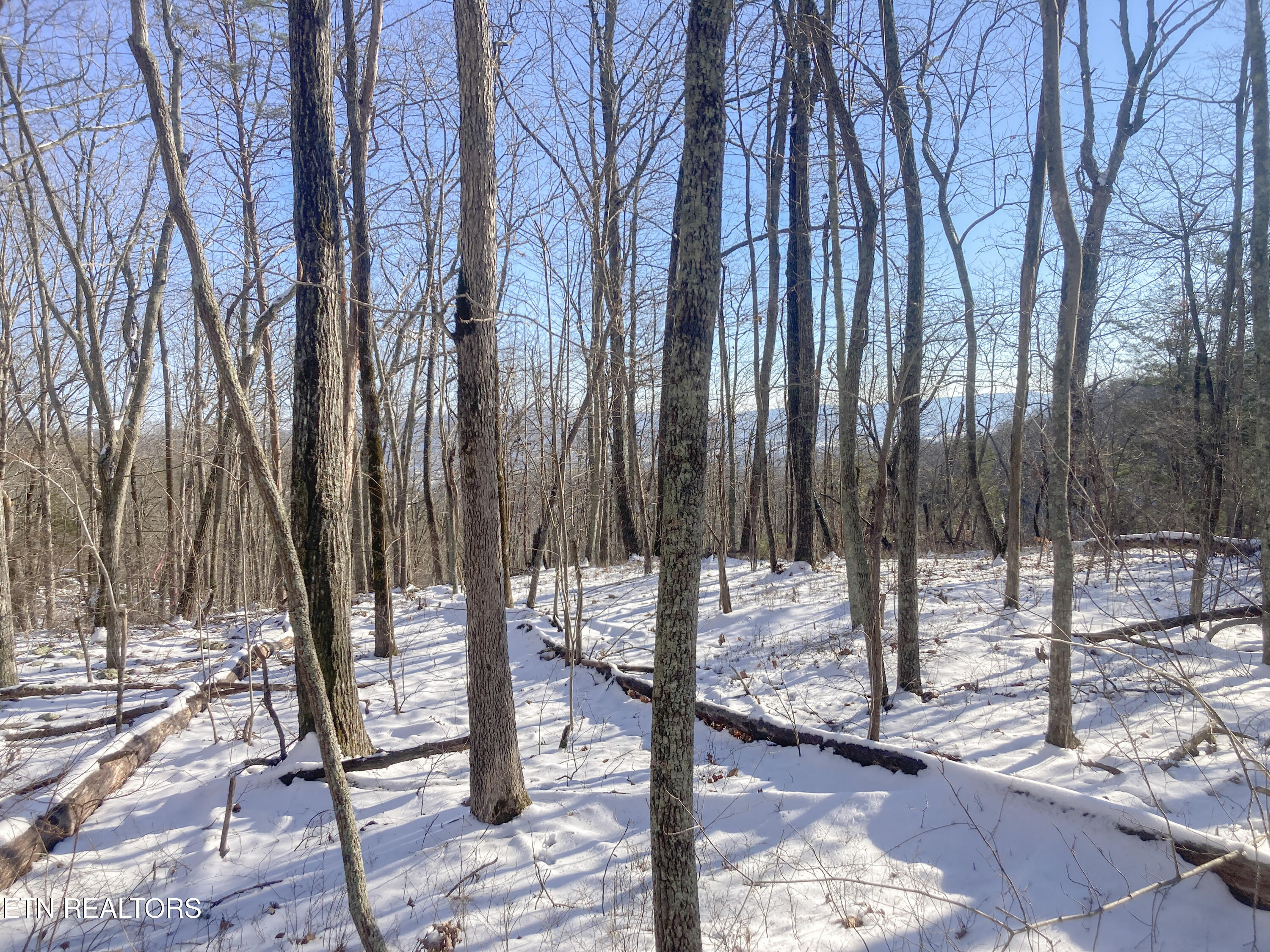 Rockfort Road - 100 Acres Pikeville TN 37367