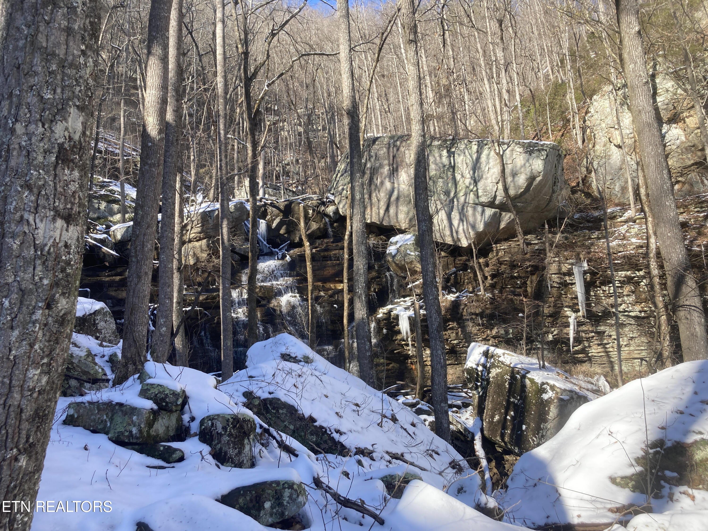 Rockfort Road - 100 Acres Pikeville TN 37367