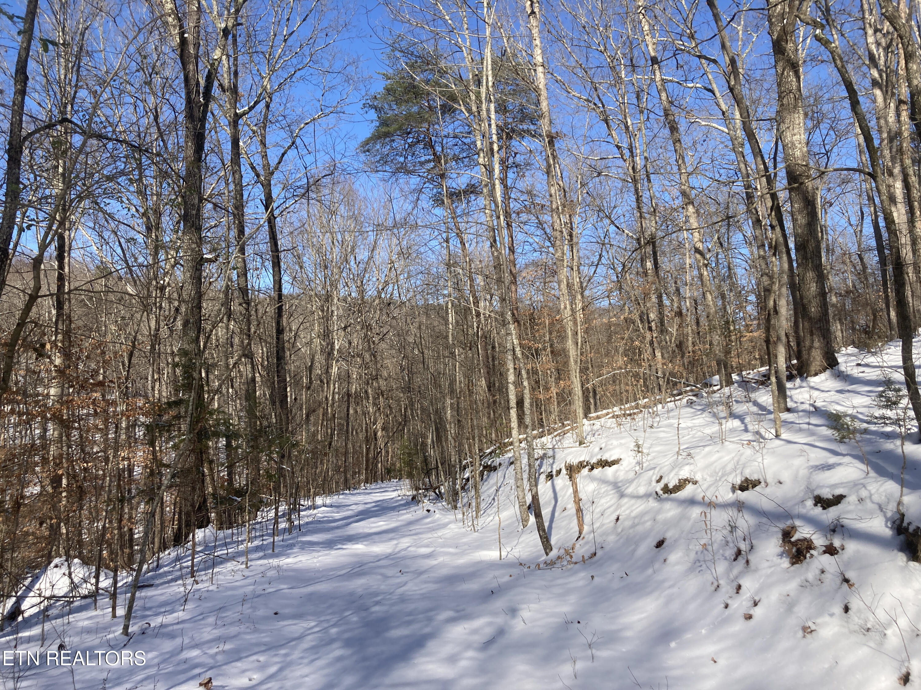 Rockfort Road - 100 Acres Pikeville TN 37367