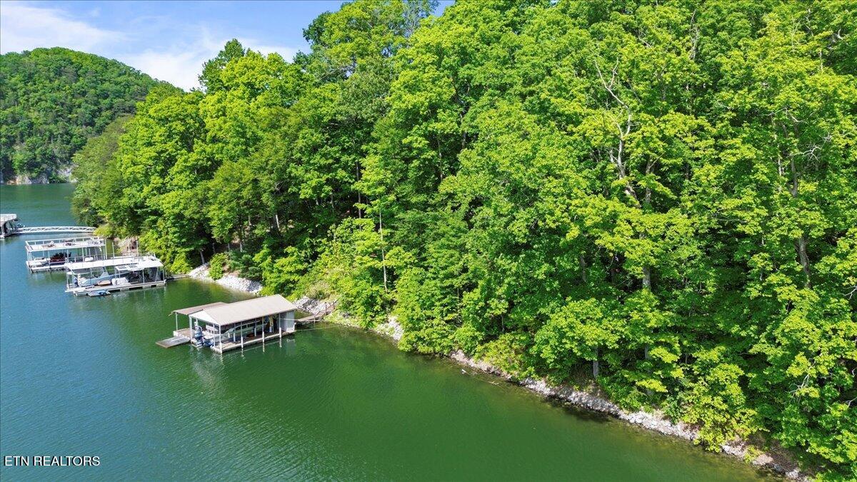 N Shorewood Ln, Lot 20 Caryville TN 37714