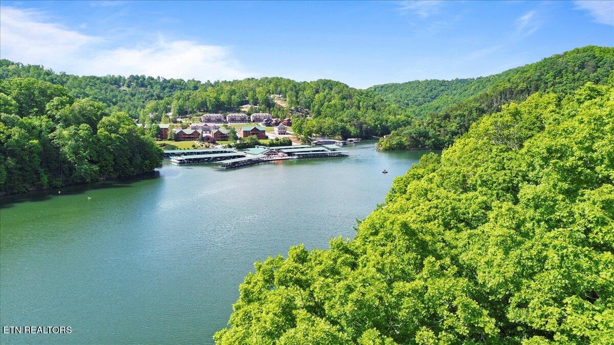 N Shorewood Ln, Lot 20 Caryville TN 37714