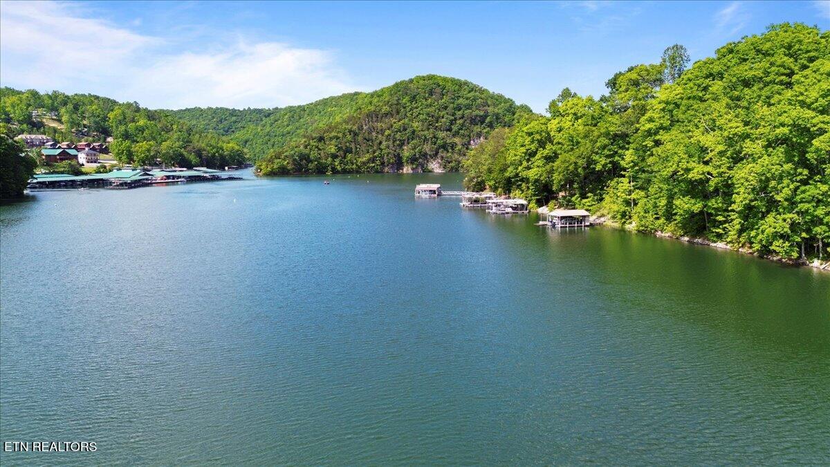 N Shorewood Ln, Lot 20 Caryville TN 37714