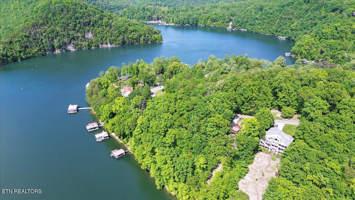 N Shorewood Ln, Lot 20 Caryville TN 37714