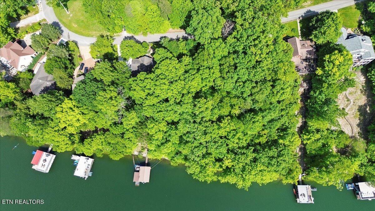 N Shorewood Ln, Lot 20 Caryville TN 37714