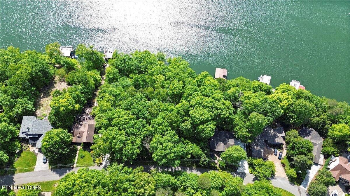 N Shorewood Ln, Lot 20 Caryville TN 37714