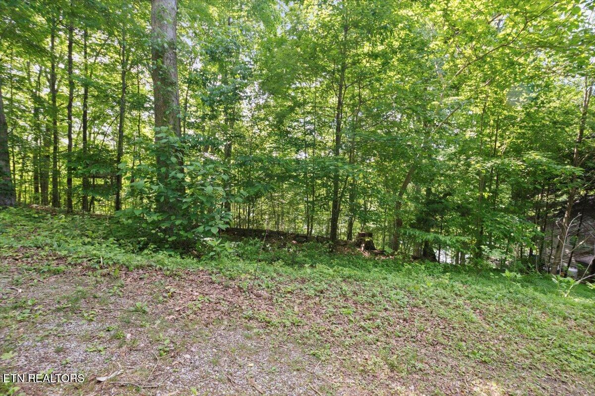 N Shorewood Ln, Lot 20 Caryville TN 37714
