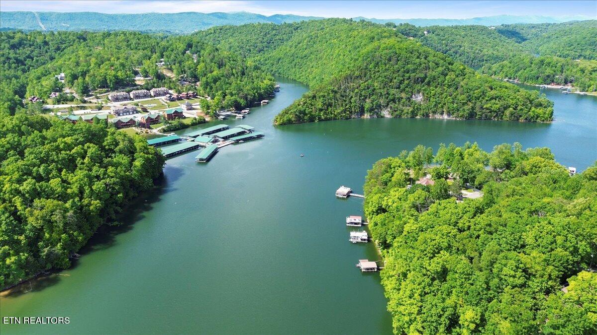 N Shorewood Ln, Lot 20 Caryville TN 37714