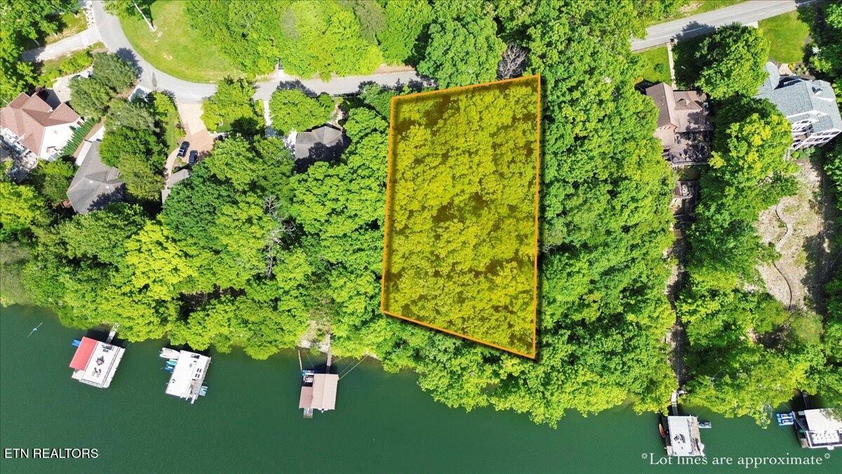 N Shorewood Ln, Lot 20 Caryville TN 37714
