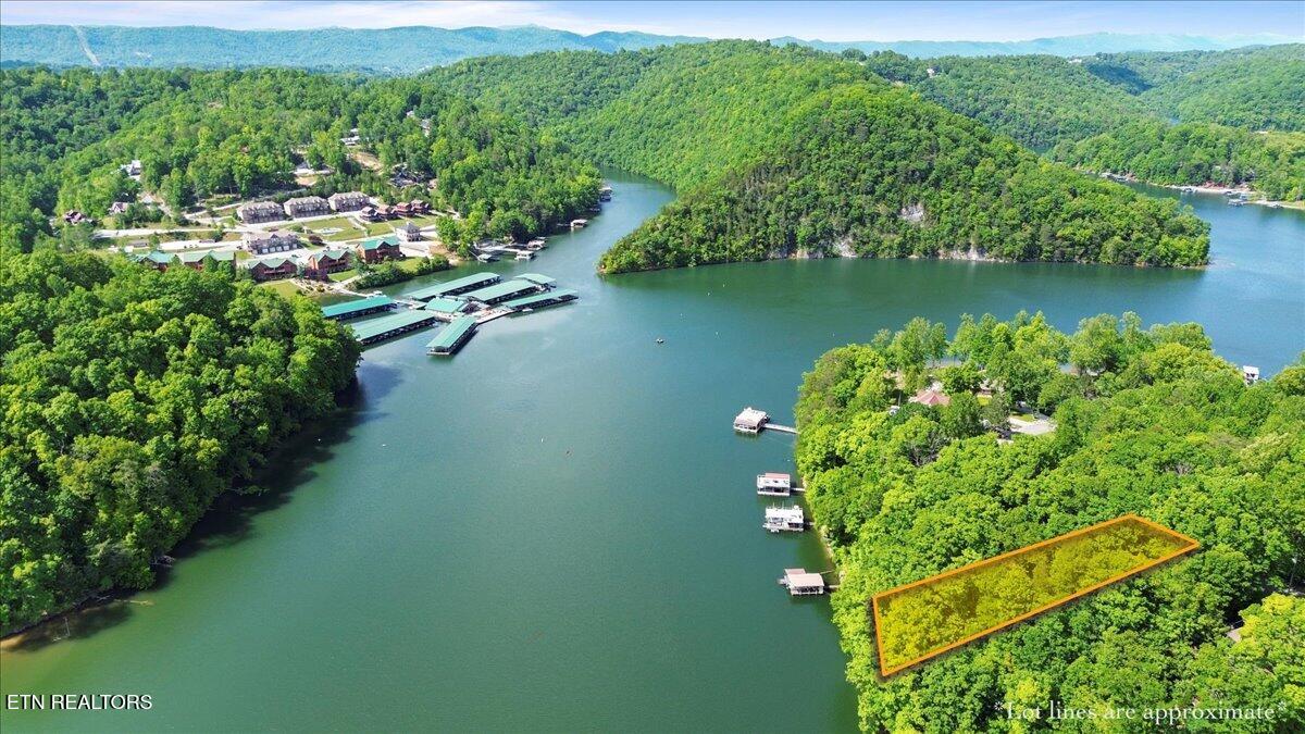 N Shorewood Ln, Lot 20 Caryville TN 37714