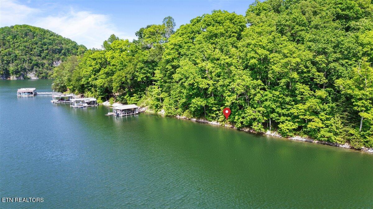 N Shorewood Ln, Lot 20 Caryville TN 37714