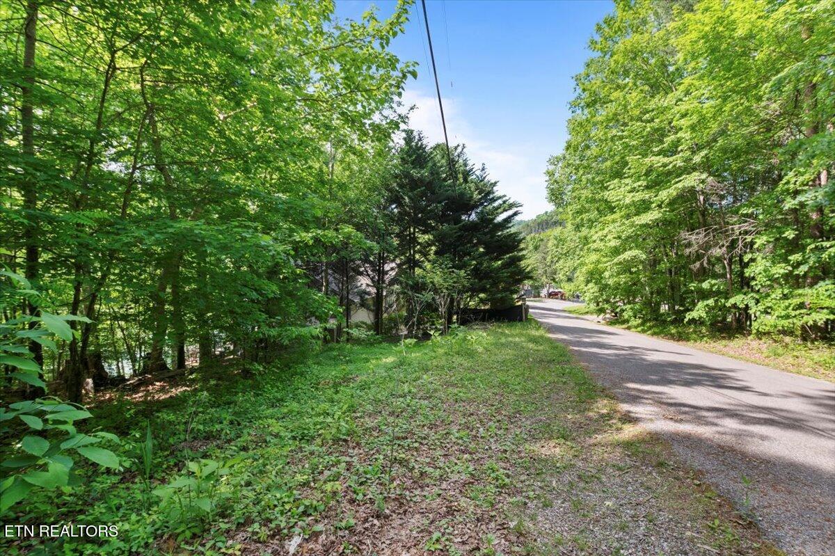 N Shorewood Ln, Lot 20 Caryville TN 37714