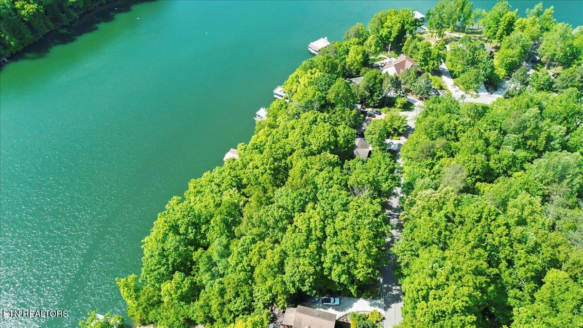 N Shorewood Ln, Lot 20 Caryville TN 37714