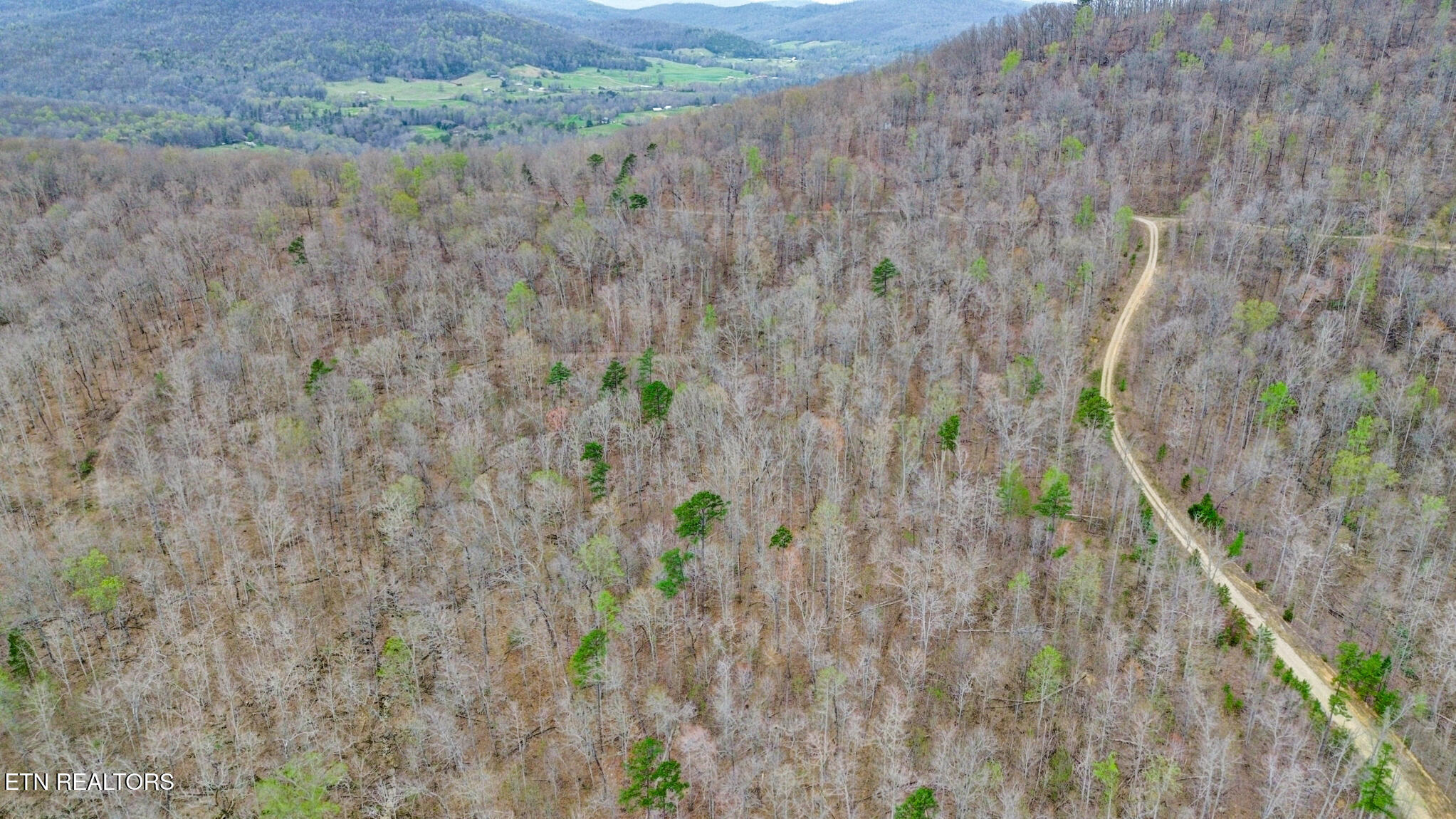 Choctaw Jamestown TN 38556