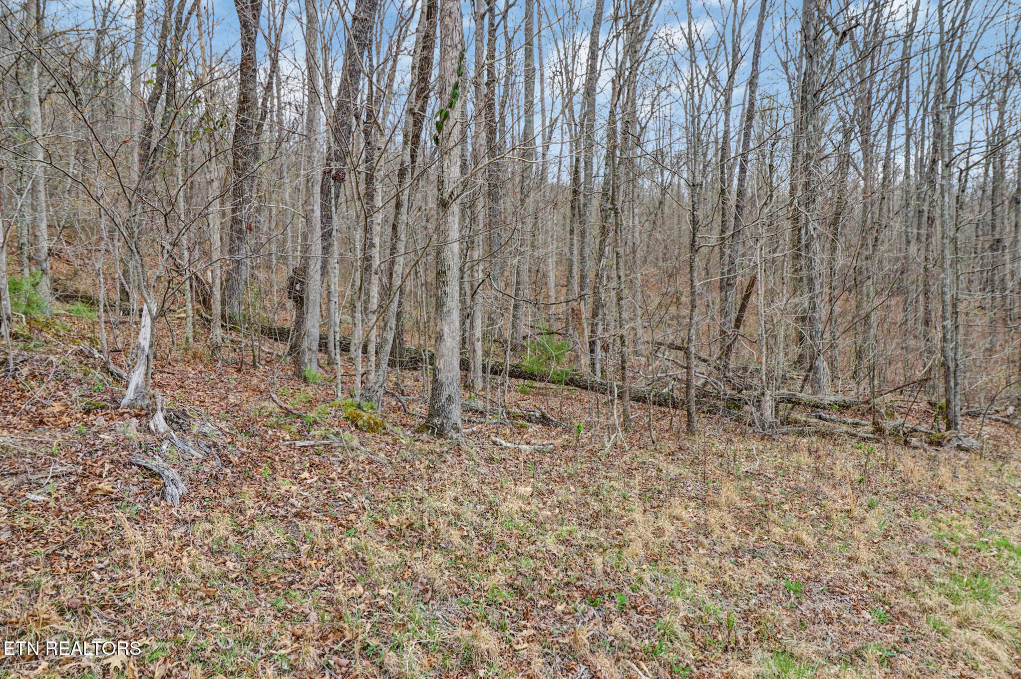 Choctaw Jamestown TN 38556