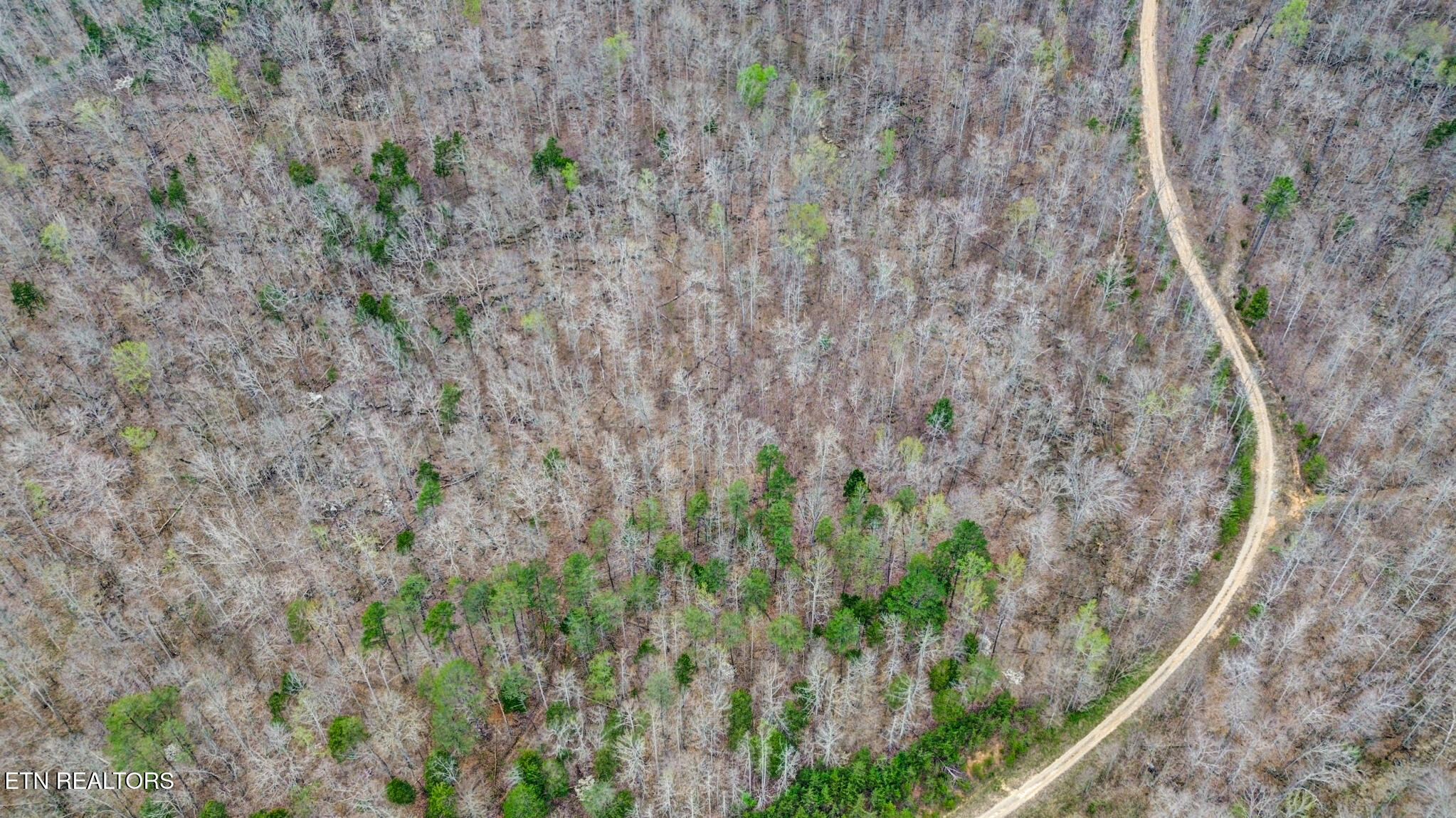 Choctaw Jamestown TN 38556