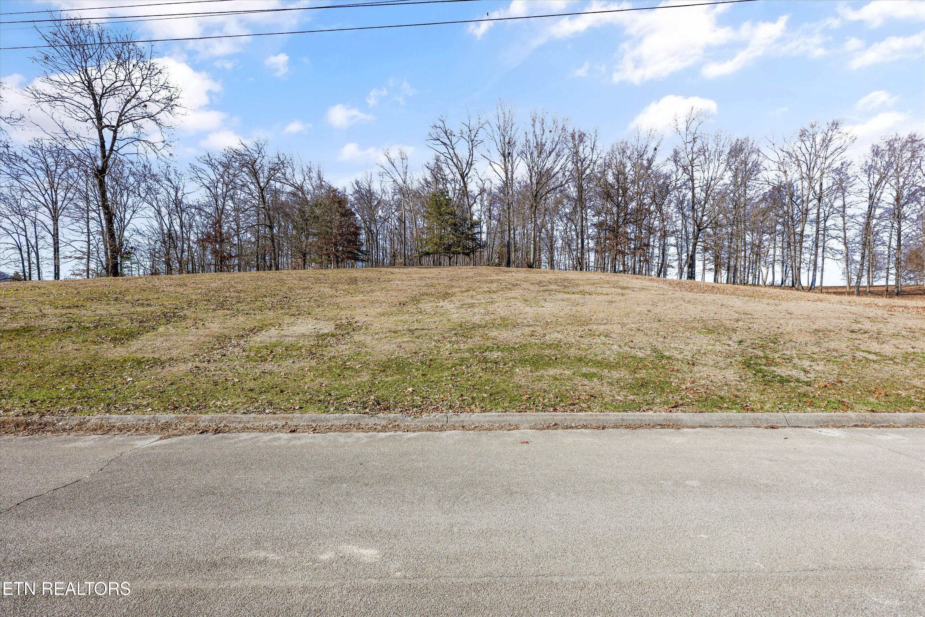 0 Rolling Hills Rutledge TN 37861