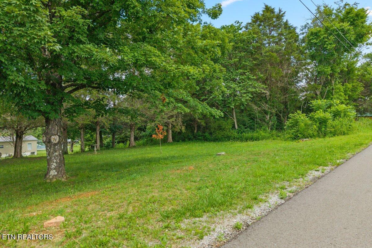 000 Buck Brown Street Englewood TN 37329