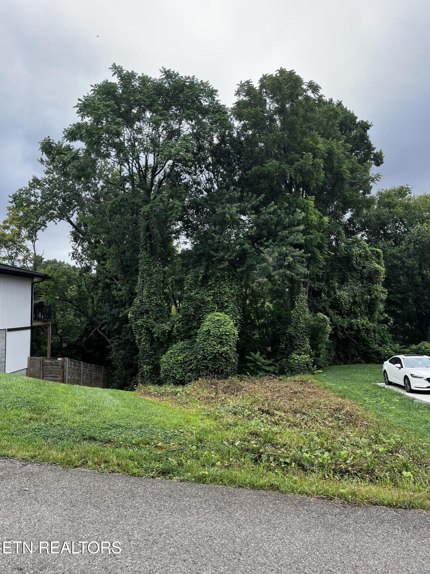 103 Henry Avenue Knoxville TN 37920