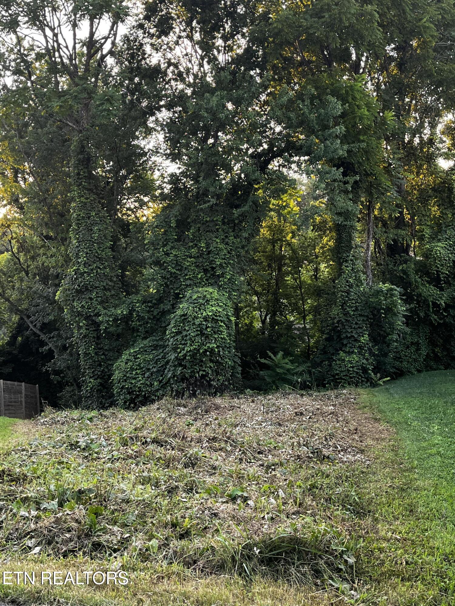 103 Henry Avenue Knoxville TN 37920
