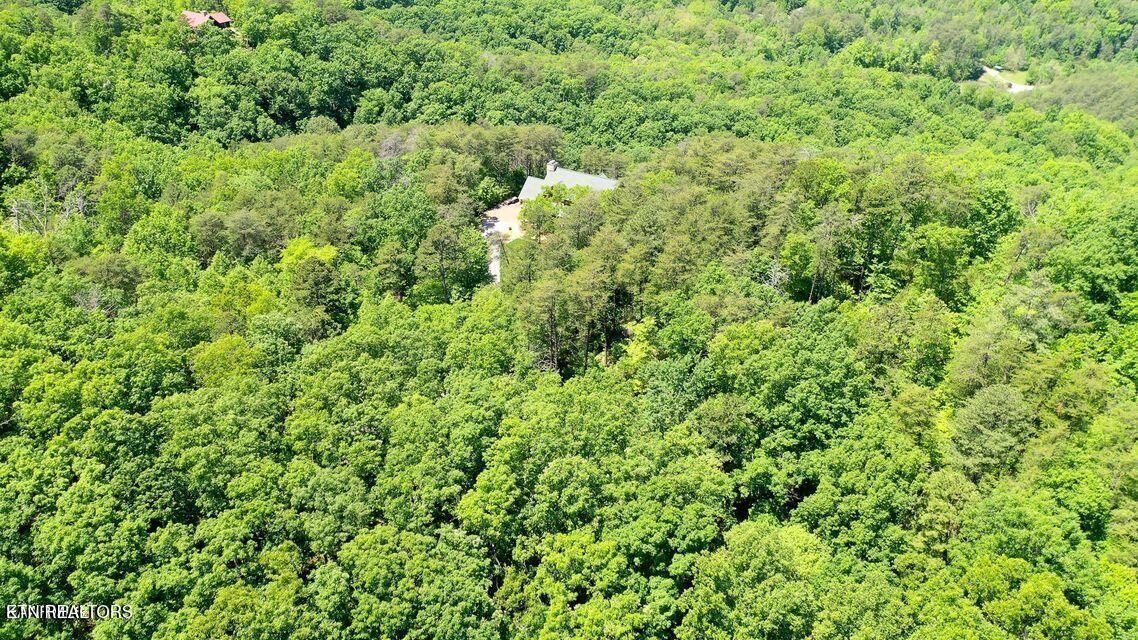 604 Solomon Seal Way Maryville TN 37803