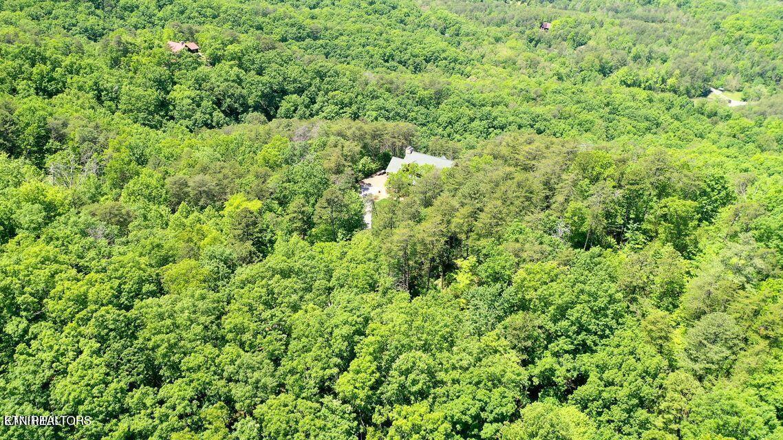 604 Solomon Seal Way Maryville TN 37803